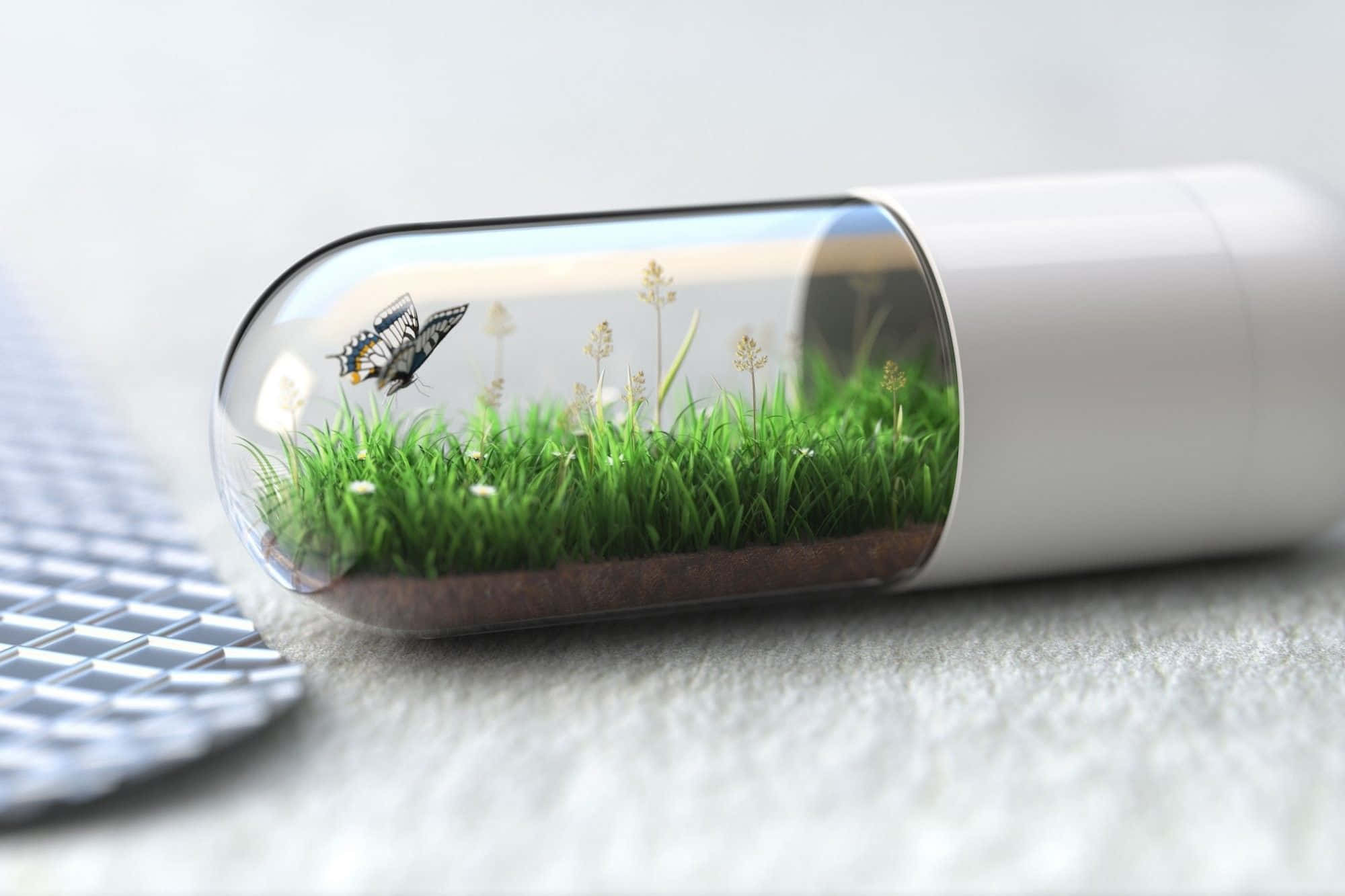 pills 桌布 壁紙 — 一顆藥丸膠囊內含鮮綠色草、野花和一隻蝴蝶在極簡白色藥丸內飛舞，置於柔軟表面上。