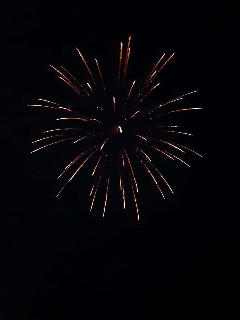 firework 桌布 壁紙 — 一顆金色煙火在漆黑的夜空中爆炸，形成燦爛的光束。