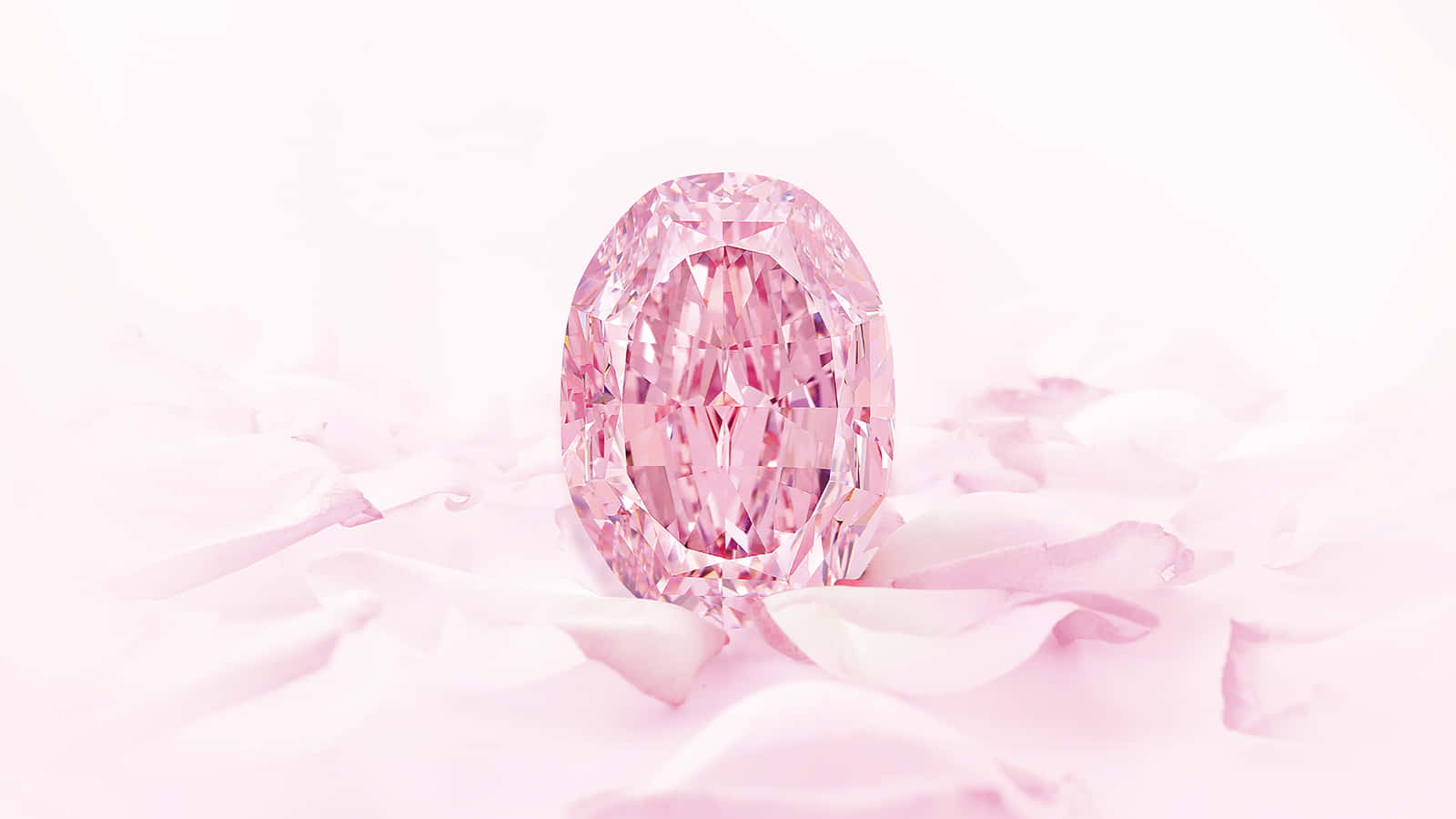 Pink Diamond 桌布 壁紙 — 一顆閃耀的粉紅色橢圓形鑽石優雅地放置在柔軟的粉紅色花瓣上，背景是明亮的白色。