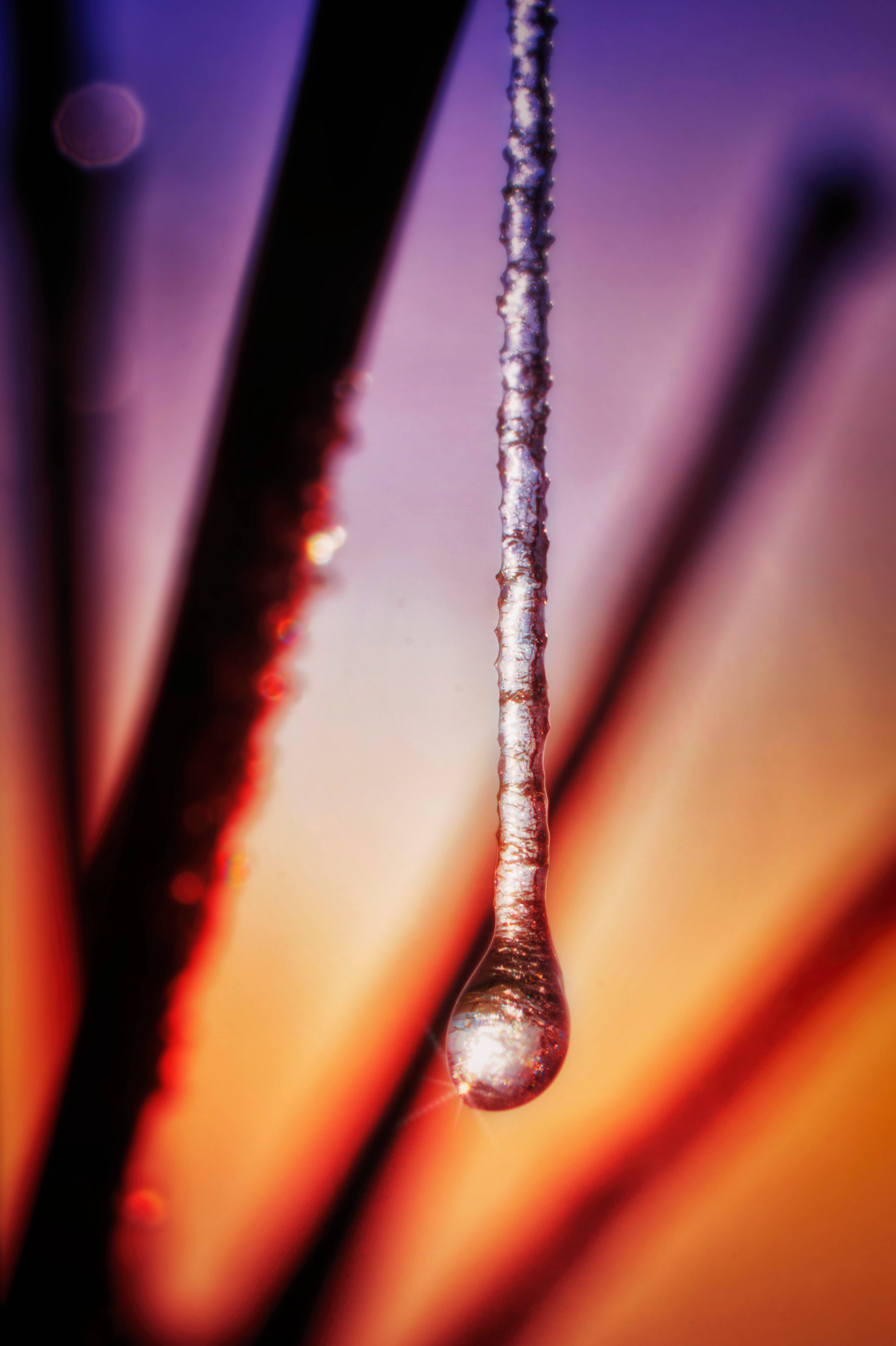 冰雪奇緣 桌布 壁紙 — 一顆閃閃發亮的水滴懸掛在充滿活力的紫色和橙色漸變背景上。