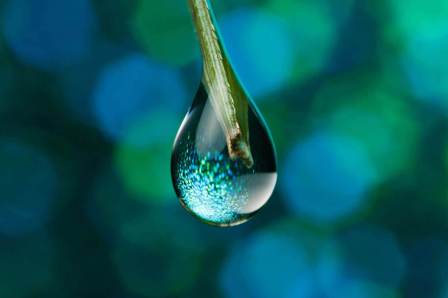 Water Drop 桌布 壁紙 — 一顆閃閃發光的水珠懸掛在葉莖上，反射出鮮豔的藍色和綠色散景光。