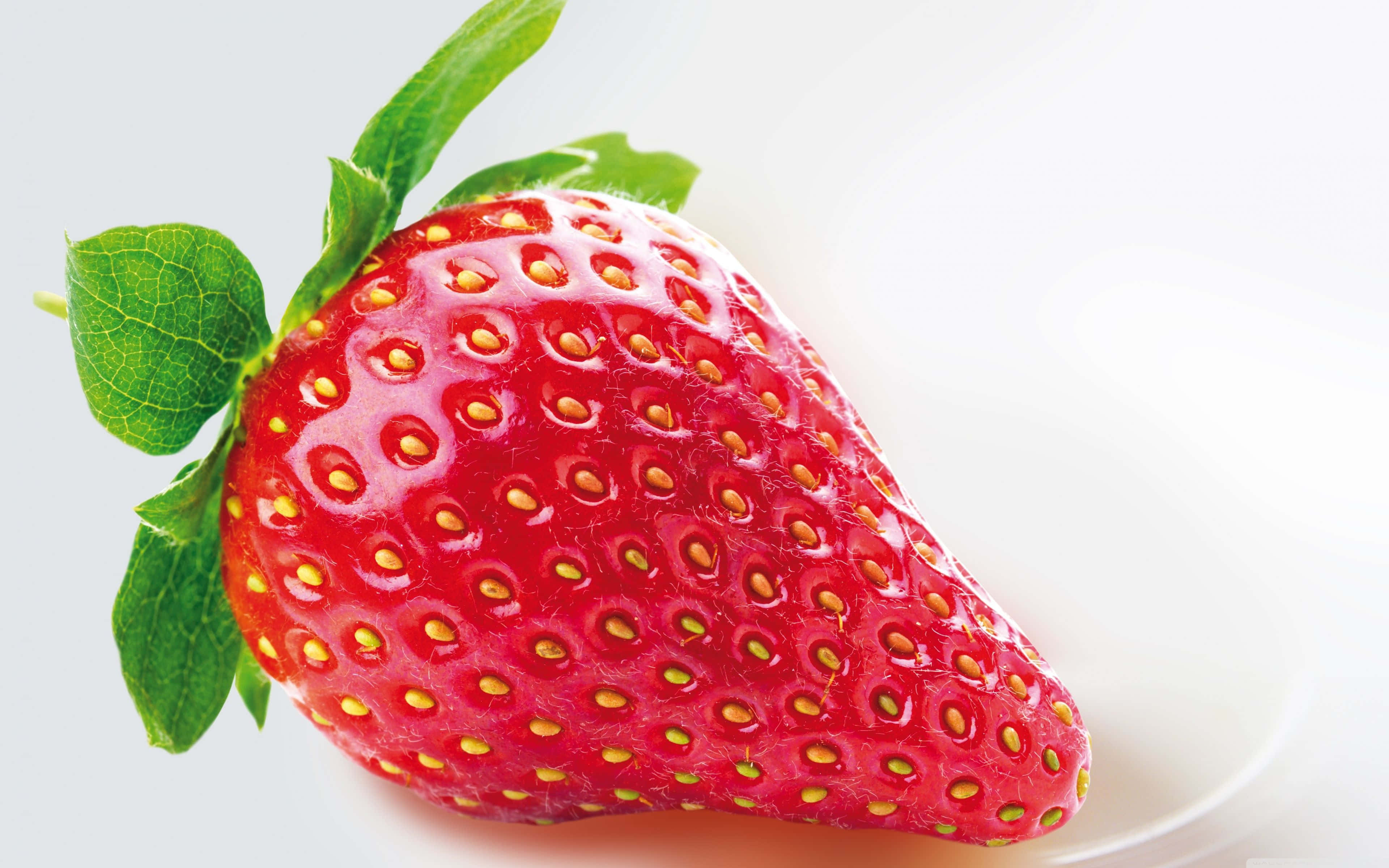 Red Strawberry 桌布 壁紙 — 一顆鮮紅的草莓帶有綠葉，放在白色盤子上，背景明亮潔淨。