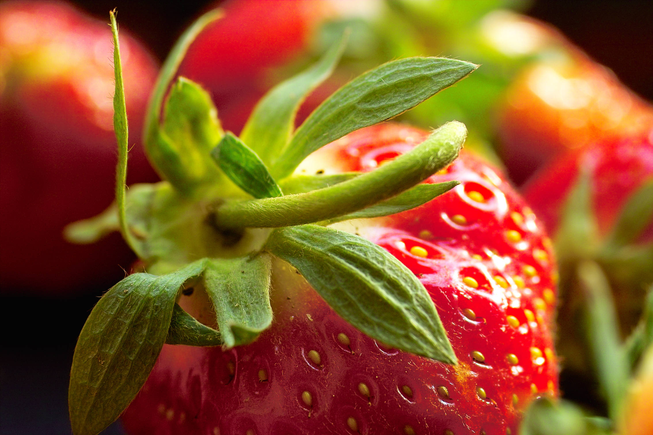 Fruits 桌布 壁紙 — 一顆鮮紅色草莓的特寫，帶有綠色葉片和細小黃色種子，在柔和光線下閃閃發光。