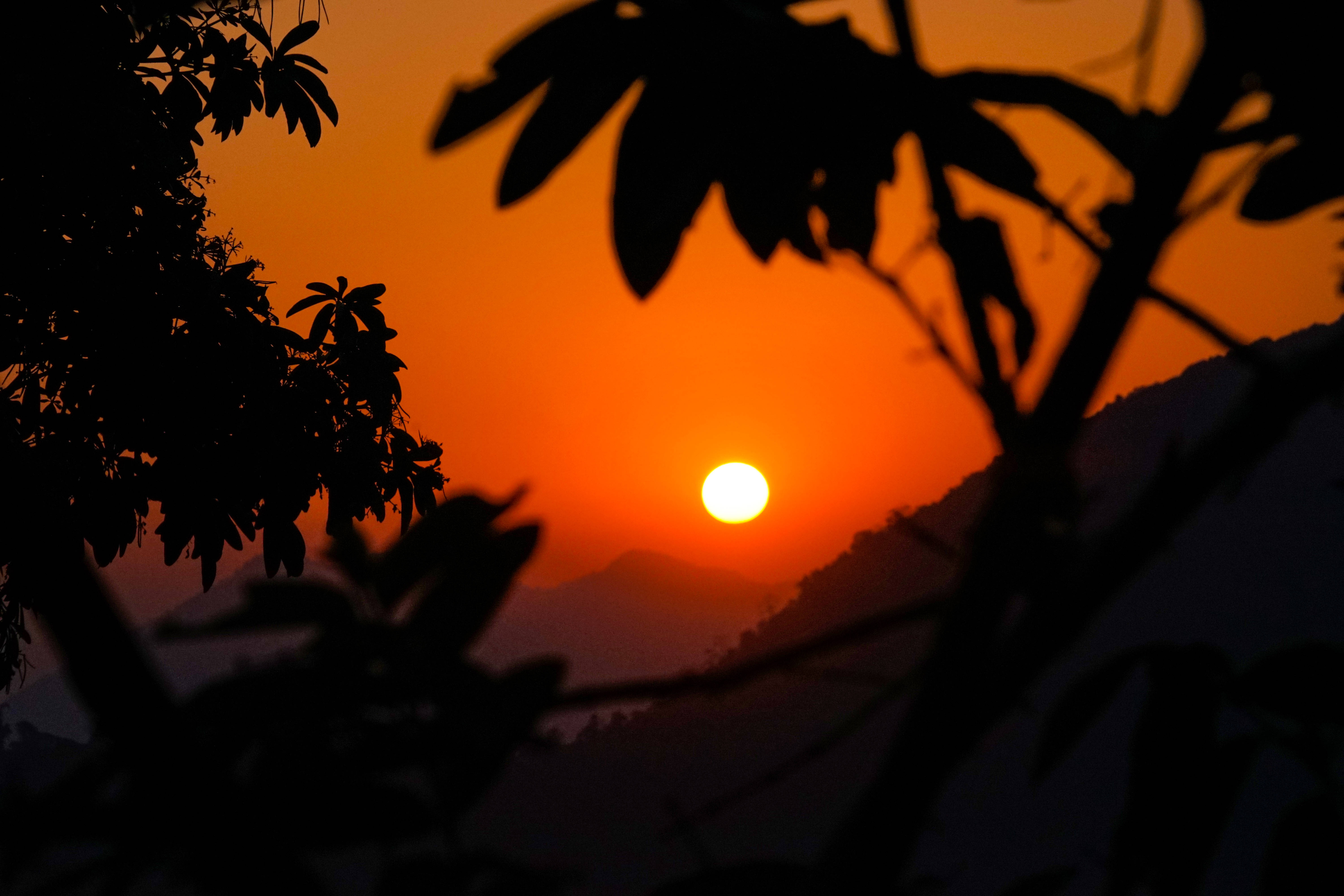 不丹 桌布 壁紙 — 一顆鮮豔的橙色太陽落在遠山之後，被深色樹枝剪影框住。