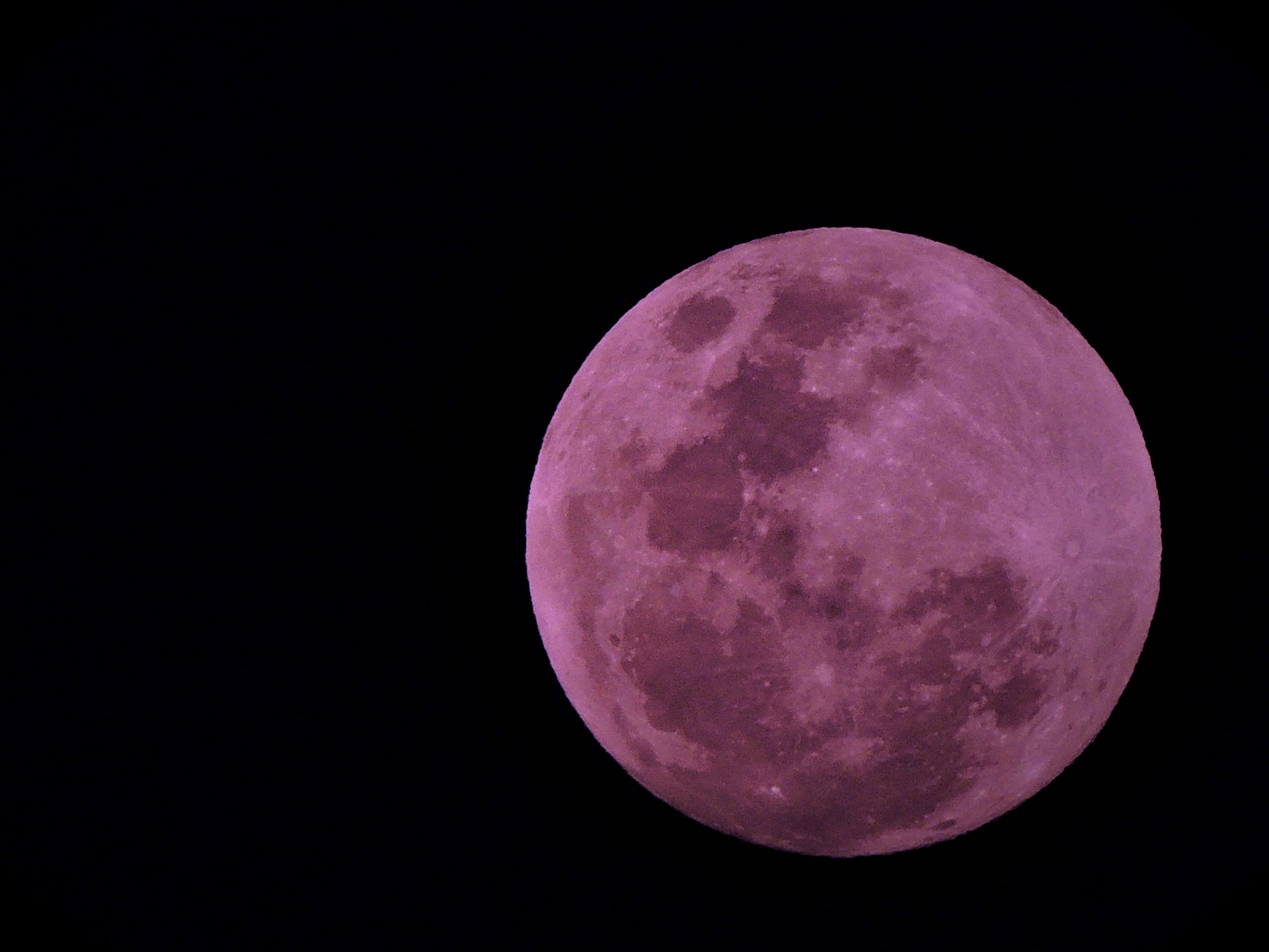 Pink Moon 桌布 壁紙 — 一顆鮮豔的紫色月亮主宰著漆黑的天空，細節清晰的隕石坑和月海可見。