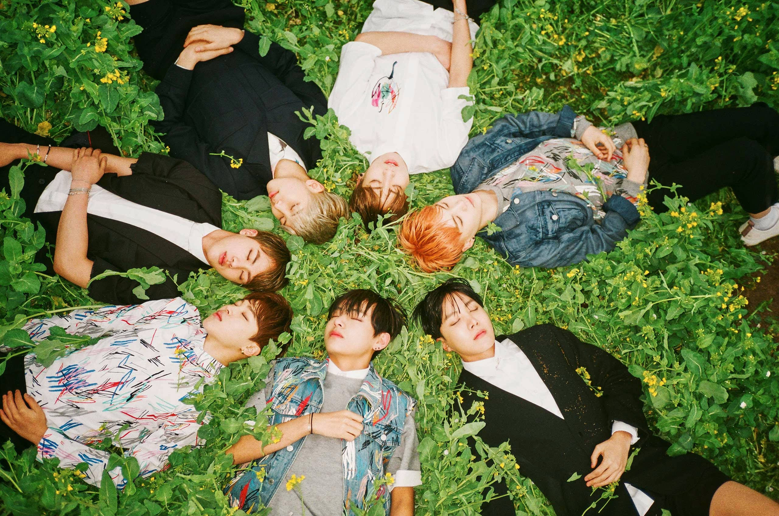BTS 桌布 桌布 壁紙 — 七位穿著時尚的年輕男子放鬆地躺成一個圓圈，周圍是充滿活力的綠色樹葉和黃色花朵。