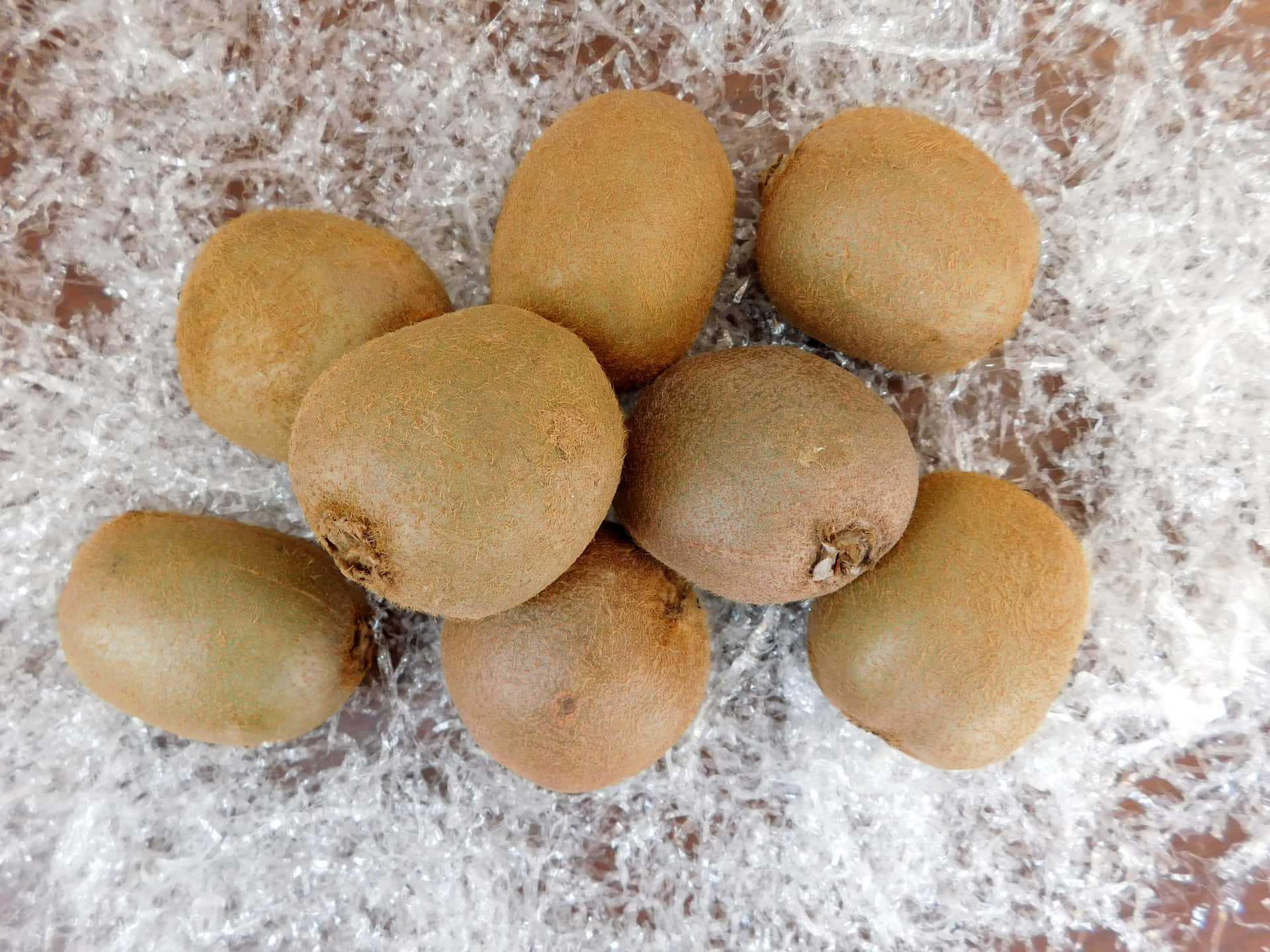 Kiwi 壁紙 — 七個毛茸茸的棕色奇異果放在一堆白色椰絲上。
