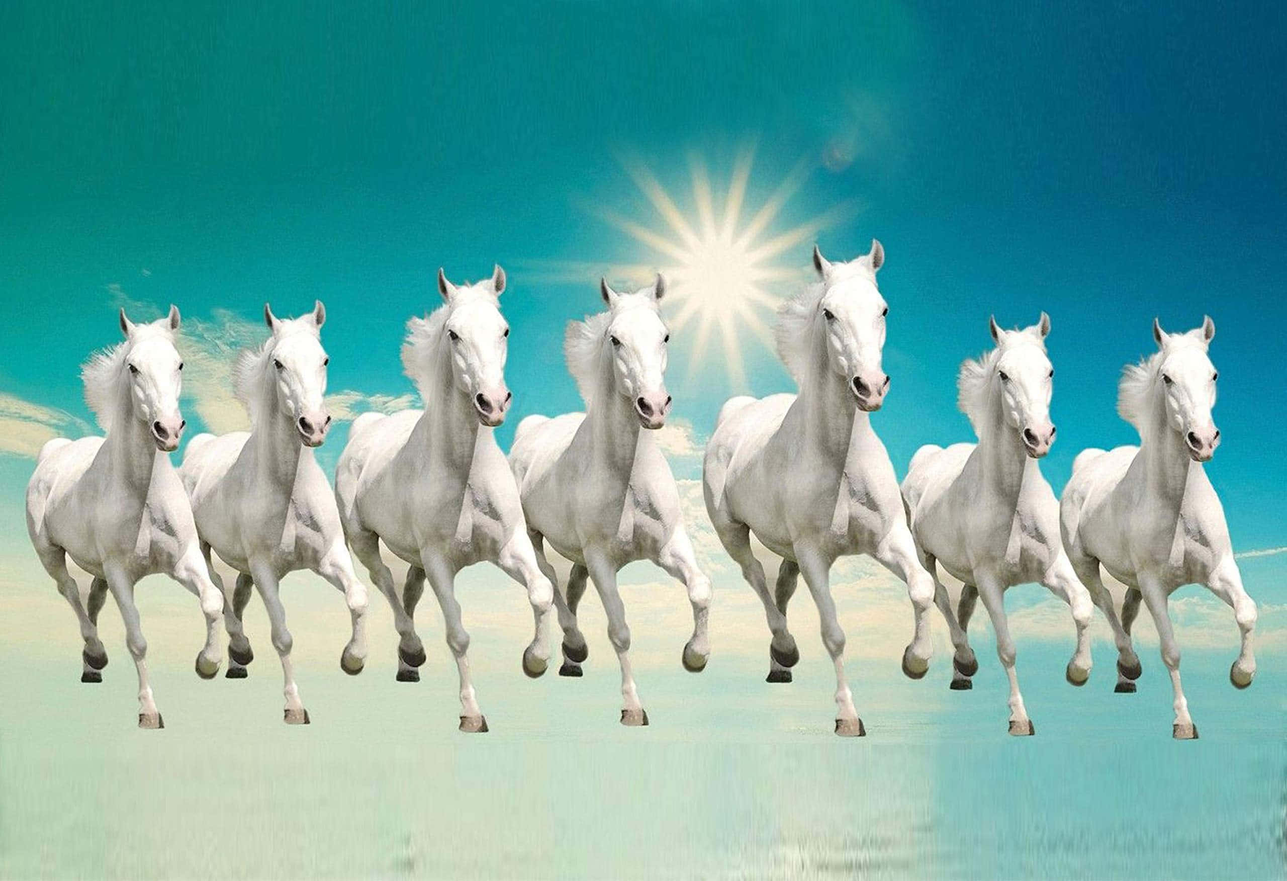 7 Horses 桌布 壁紙 — 七匹雄偉的白馬在燦爛的太陽下，在充滿活力的藍綠色天空前齊齊奔騰。