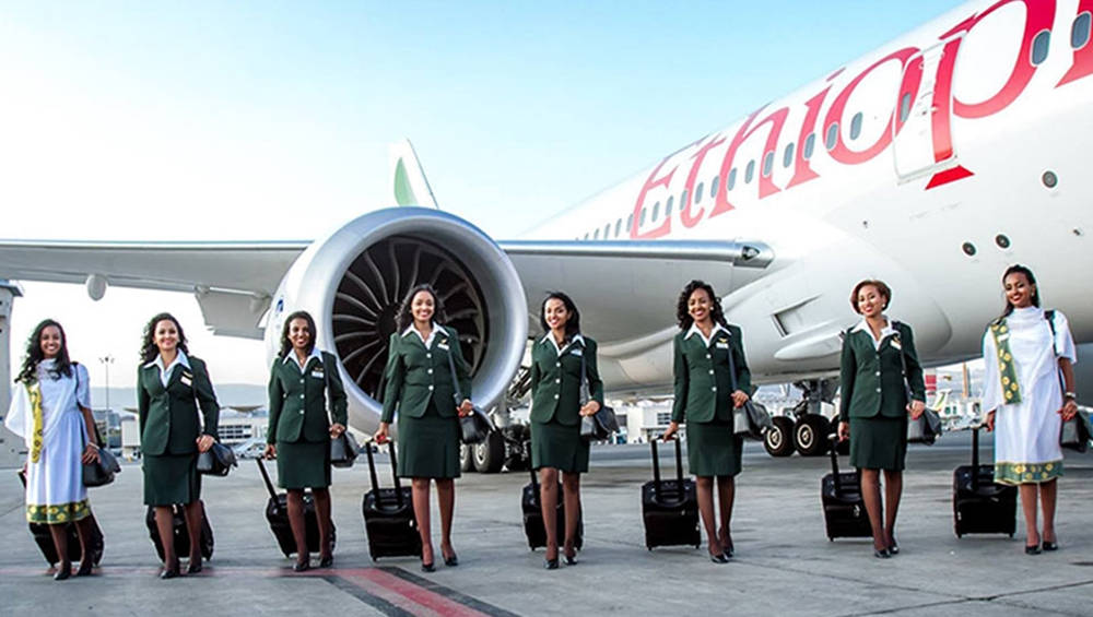 Aviation 桌布 壁紙 — 七名身穿綠色制服的衣索比亞航空空服員站在陽光明媚的停機坪上，在一架大飛機前面微笑，帶著有輪子的行李箱。