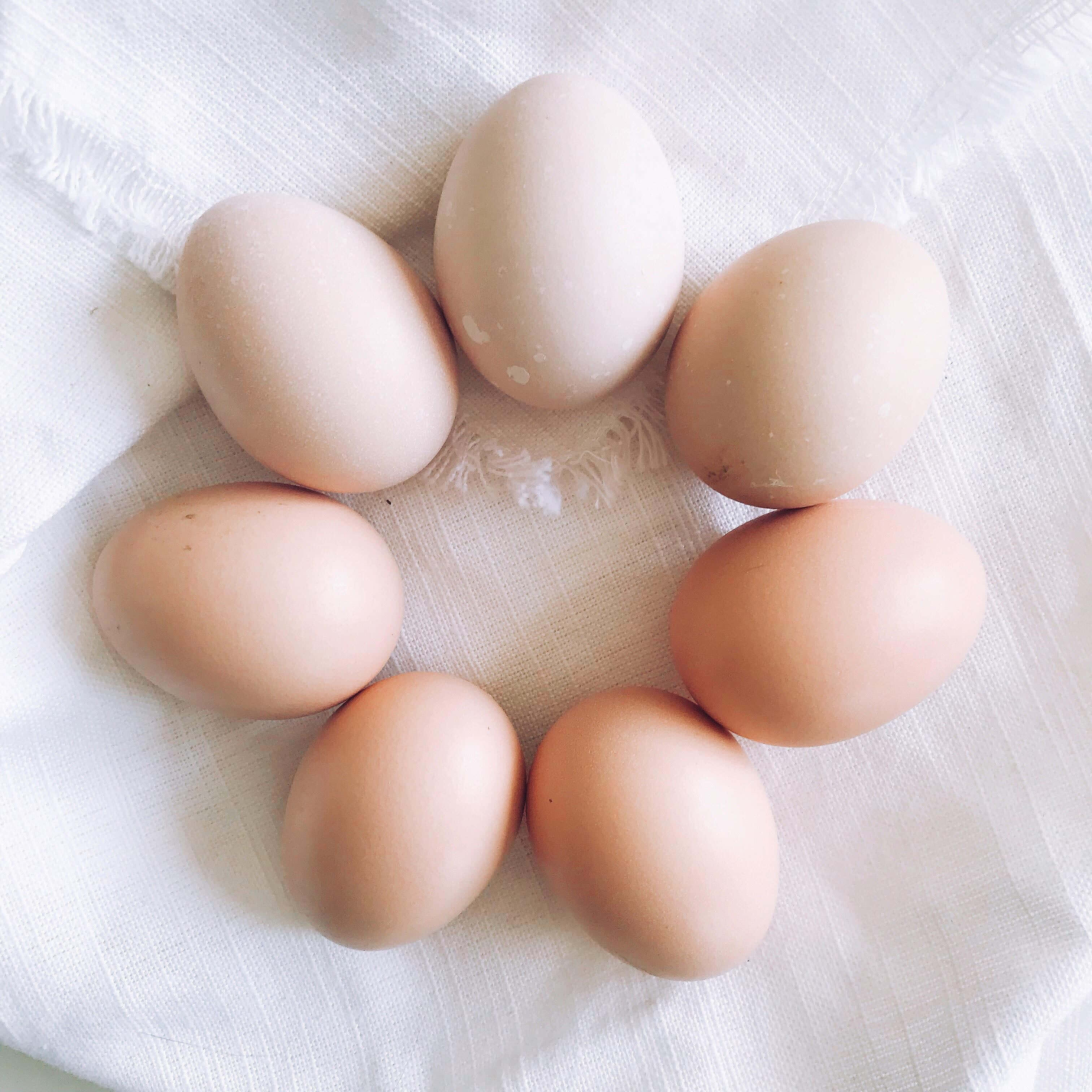 Brown Eggs 桌布 壁紙 — 七顆棕色雞蛋在柔和的自然光下，排列成圓形放在有紋理的白色布料上。