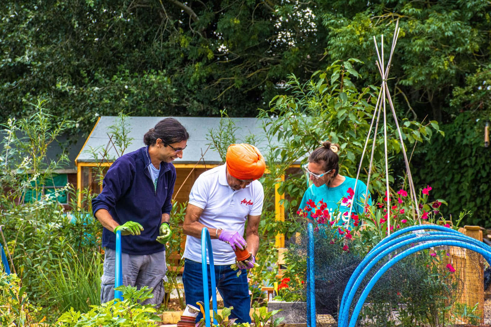 Gardening 桌布 壁紙 — 三人在茂盛的花園中，在明亮的日光下用工具和噴壺照料植物。