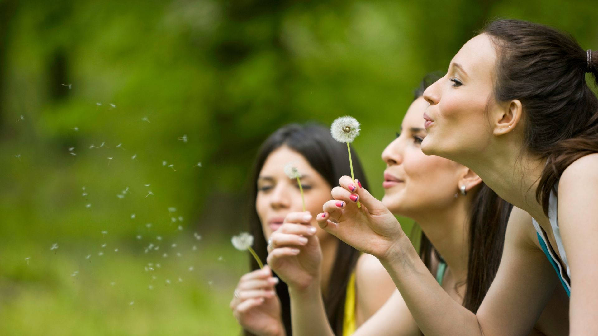 women 桌布 壁紙 — 三位年輕女性在陽光明媚的綠色公園中輕輕將蒲公英種子吹向空中。
