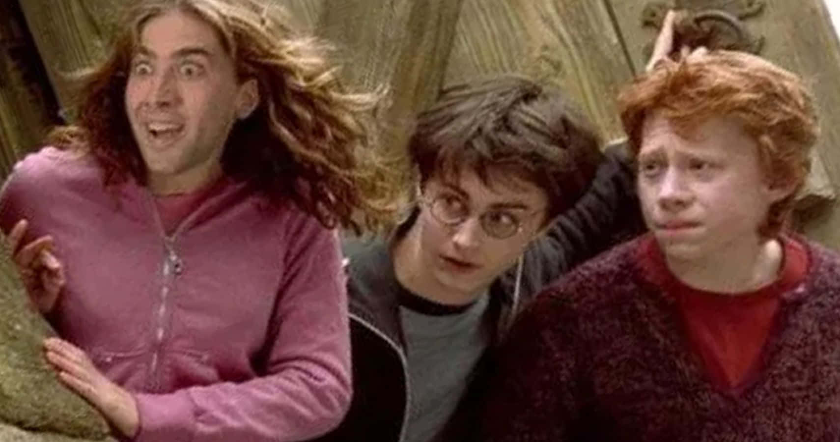 Funny Harry Potter 桌布 壁紙 — 三位年輕巫師帶著震驚和警覺的表情從木結構後面窺視。