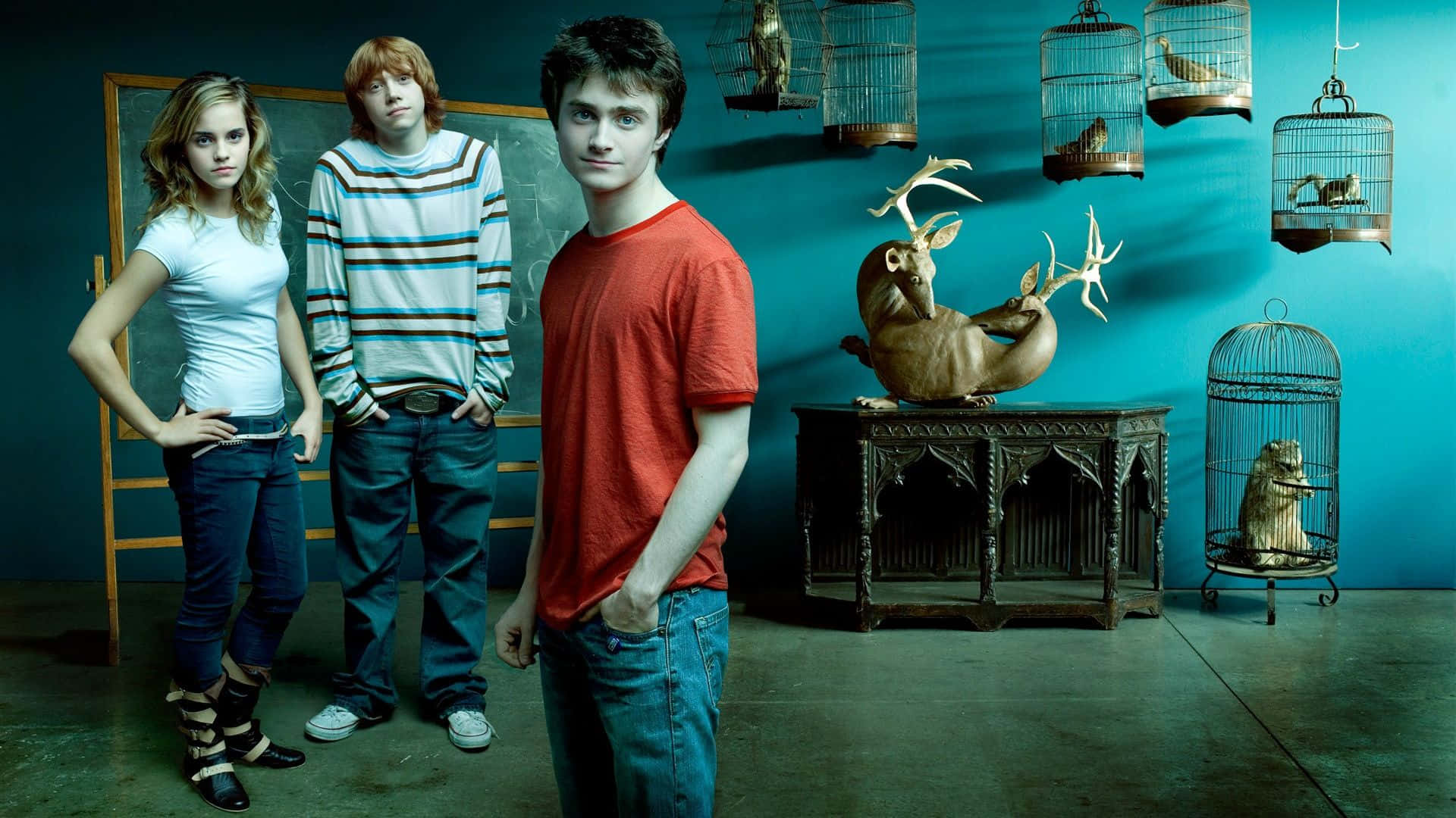 Harry Potter Landscape 桌布 壁紙 — 三位年輕成年人站在一個青綠色燈光的房間裡，房間內有懸掛的鳥籠和一張華麗桌子上的鹿雕像。