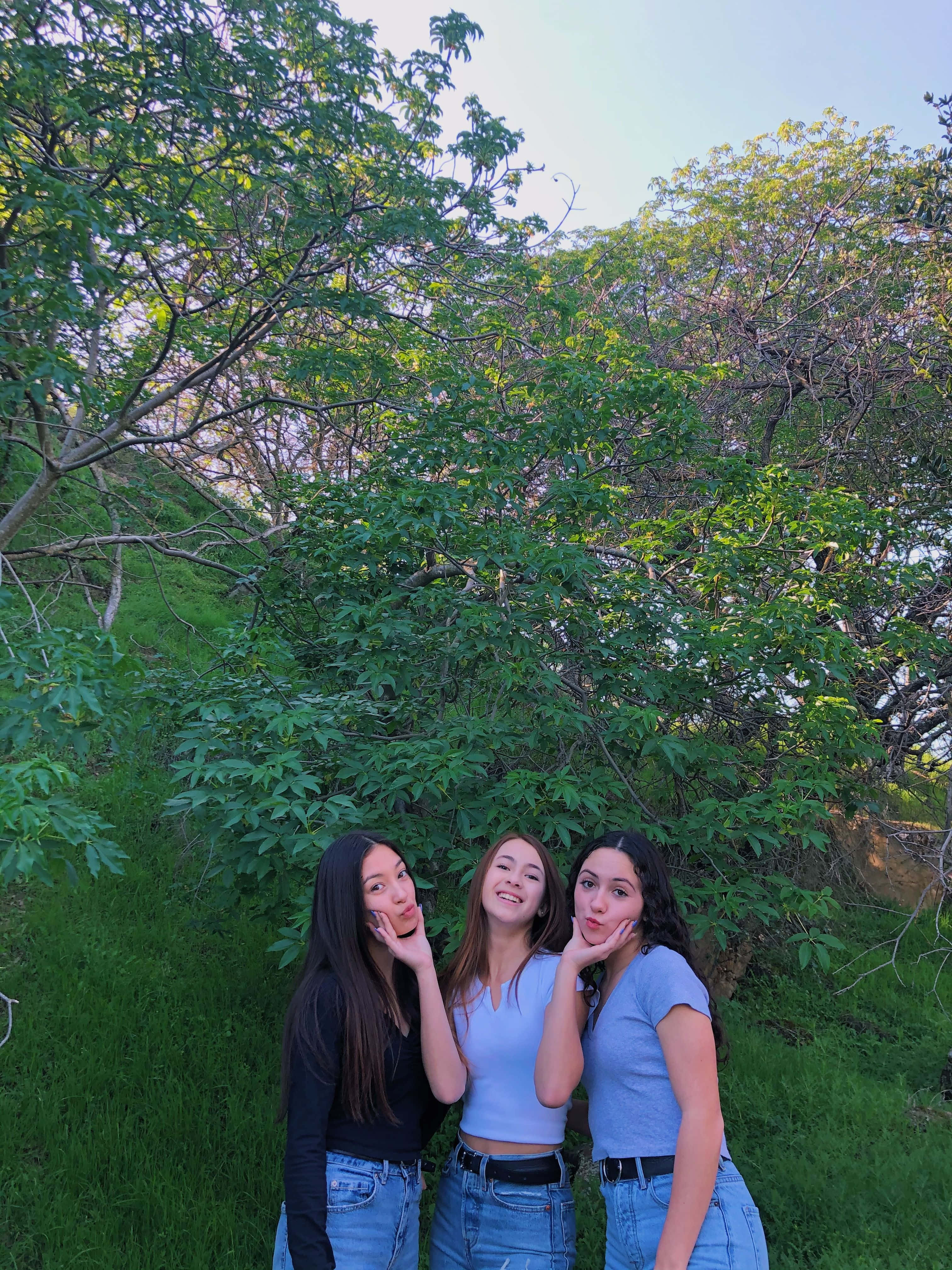 Friends 桌布 壁紙 — 三位微笑的年輕女性在明亮的日光下，以茂密的綠樹和草地為背景，雙手捧臉俏皮地擺姿勢。
