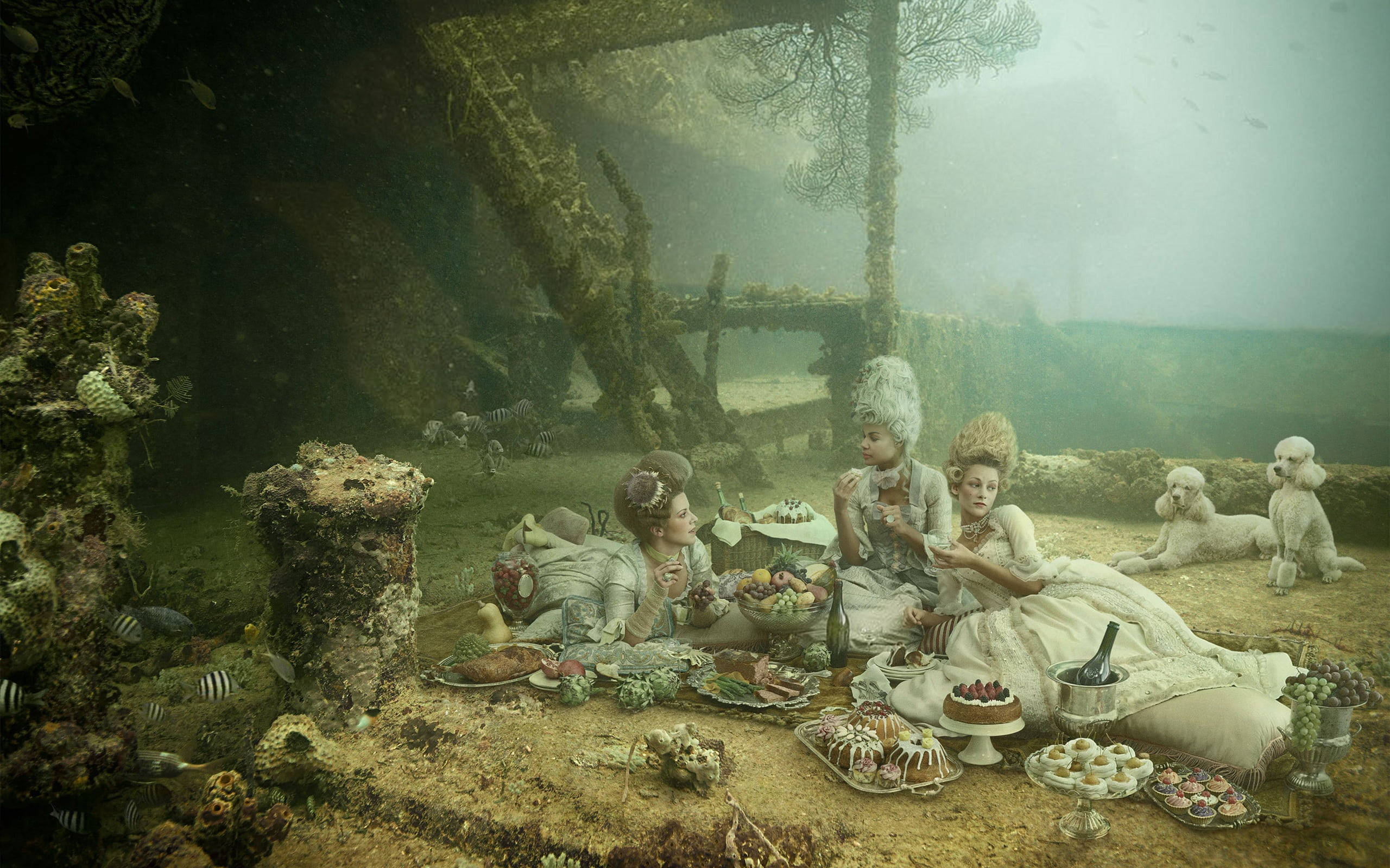 Victorian 桌布 壁紙 — 三位穿著優雅的女士在海底花園野餐，與貴賓狗和海鮮相伴，周圍環繞著珊瑚和魚類。