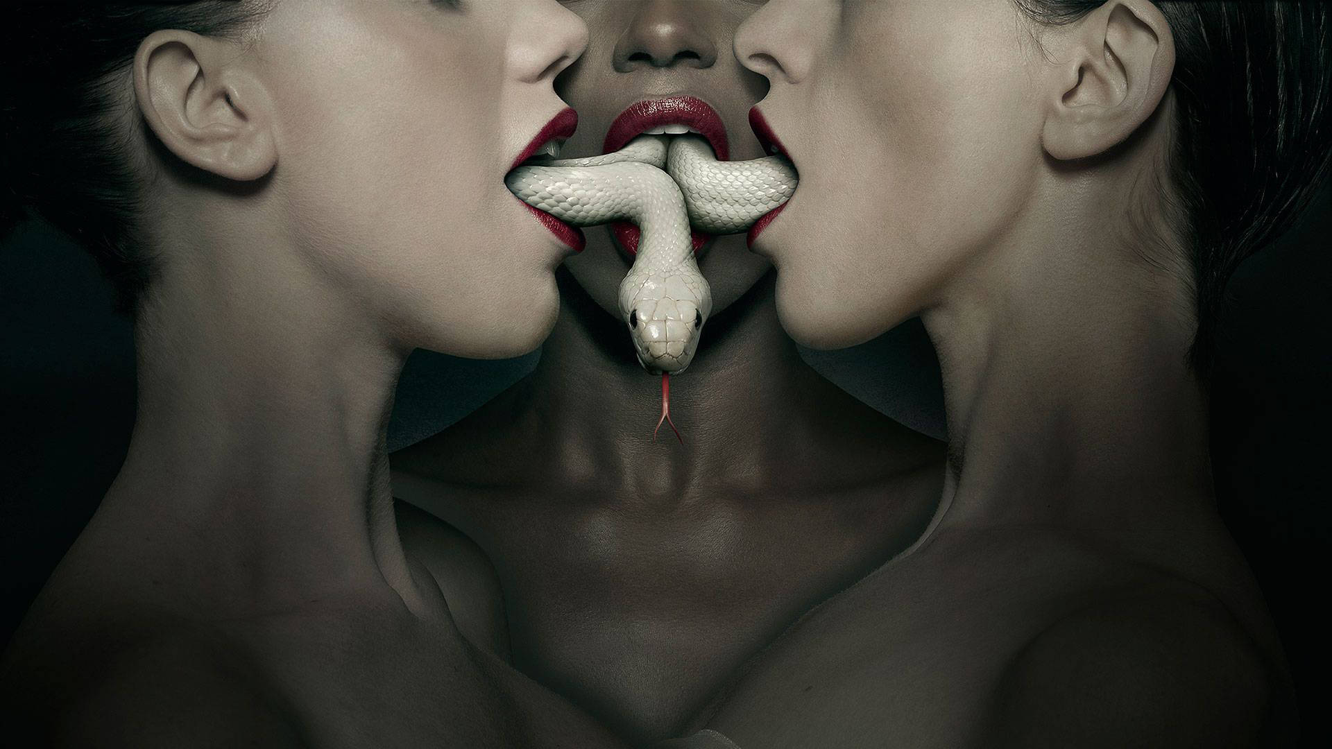 American Horror Story 桌布 壁紙 — 三位紅唇女性共享一條從中央嘴巴出現的白蛇，背景為深色。