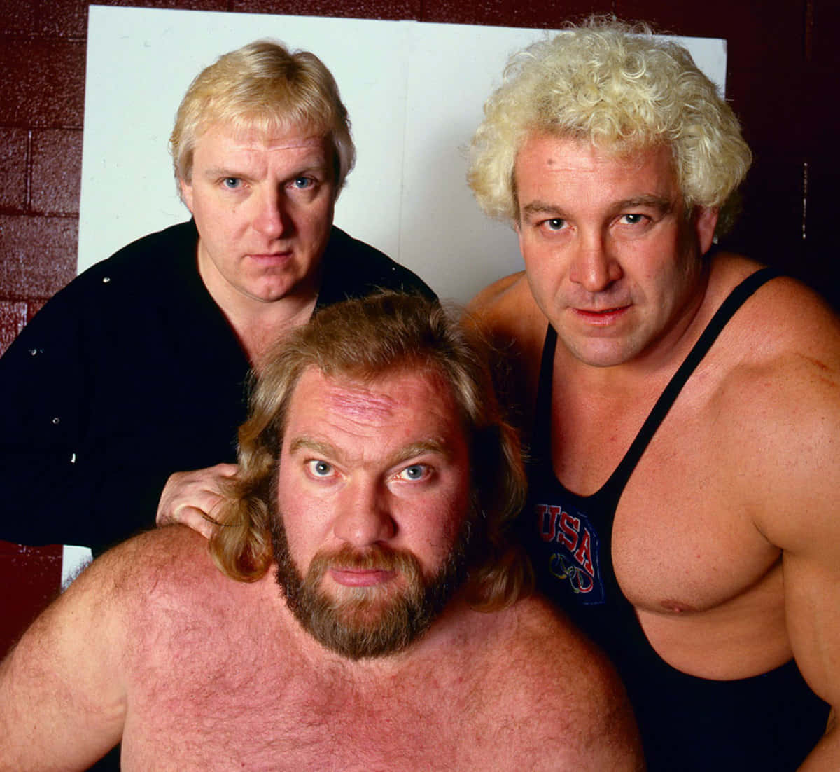 Bobby Heenan 桌布 壁紙 — 三位肌肉發達的摔角手，眼神銳利，在簡樸背景下於粗糙的攝影棚環境中緊密擺姿勢。