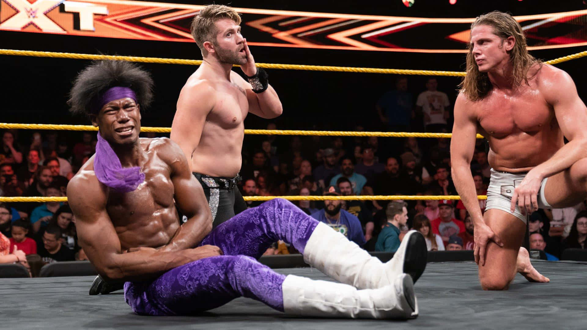WWE 桌布 壁紙 — 三位肌肉發達的摔角手在擂台上，一人穿著紫色裝備倒下，其他人站立激烈，背後有觀眾。