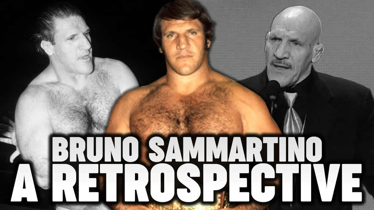 grayscale 桌布 壁紙 — 三位肌肉發達的男子擺出摔角姿勢，粗體文字寫著 Bruno Sammartino A Retrospective。