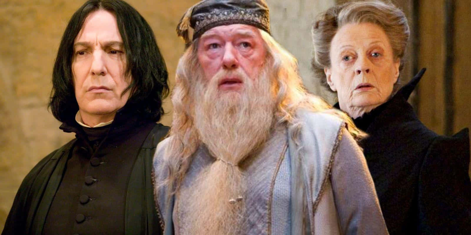 The Hogwarts Professors 桌布 壁紙 — 三位身穿深色長袍、表情嚴肅的巫師站在石牆房間內。