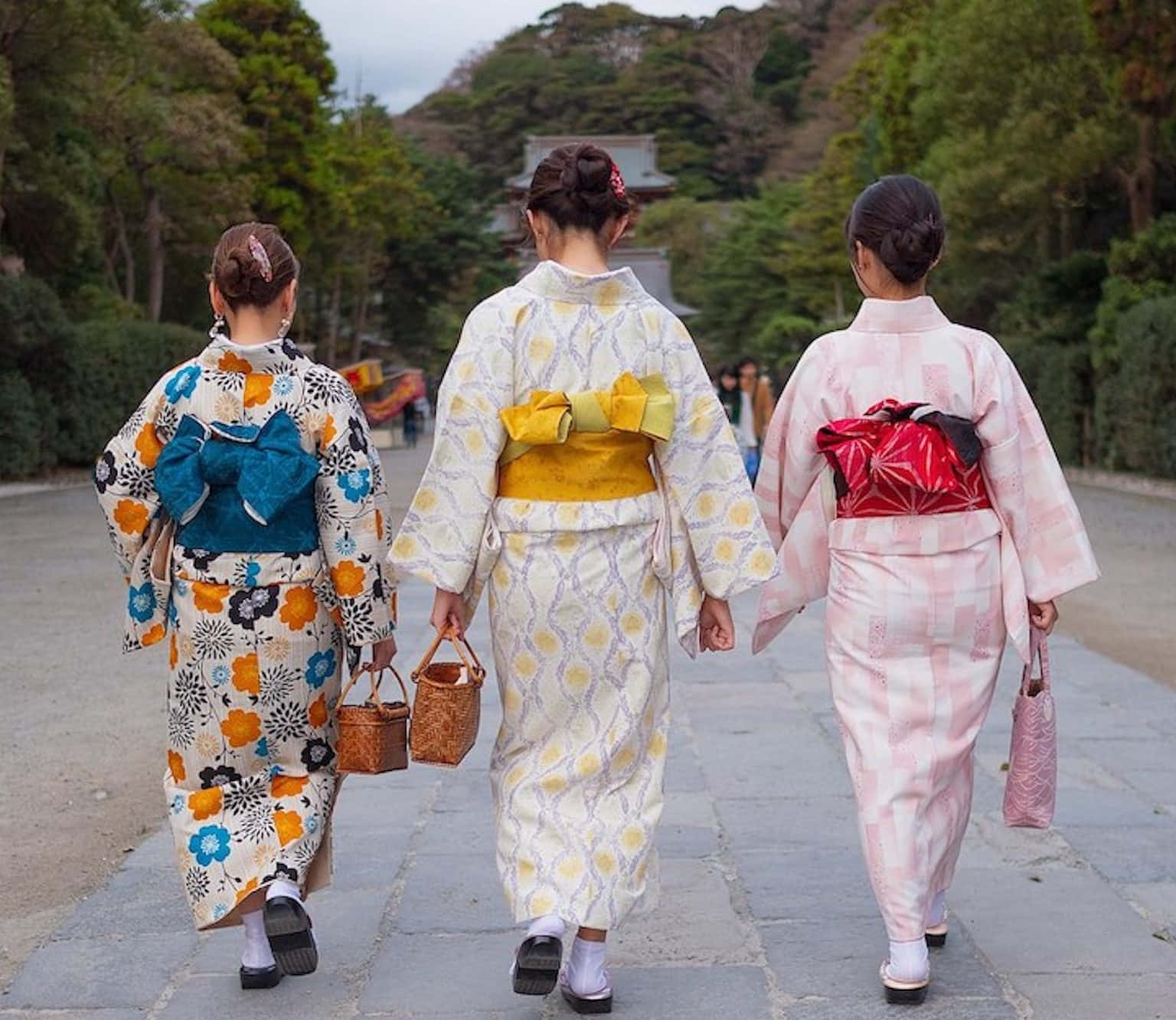 Kimono 桌布 壁紙 — 三位身穿色彩繽紛和服的女性沿著石徑穿過茂密的綠色森林走開。