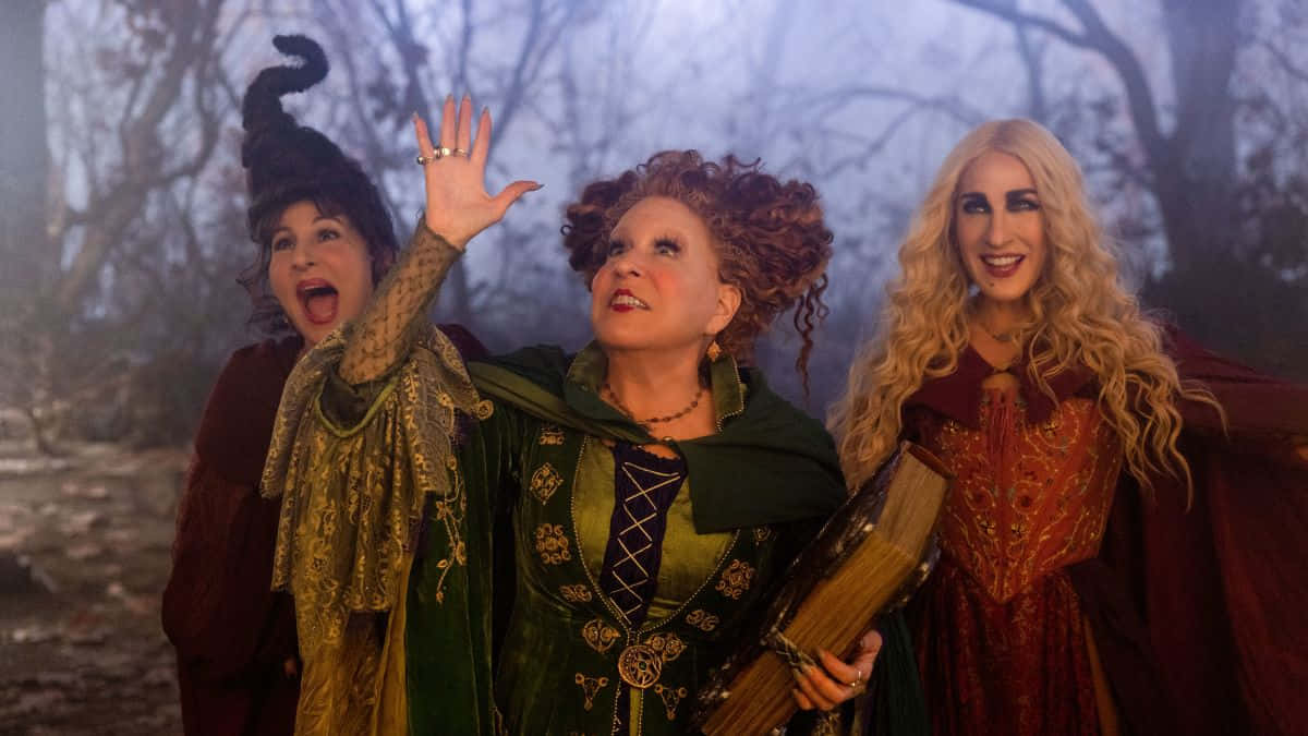 Hocus Pocus 桌布 壁紙 — 三位身穿華麗服裝的女巫在霧氣瀰漫、樹木光禿的森林中愉快地做手勢。