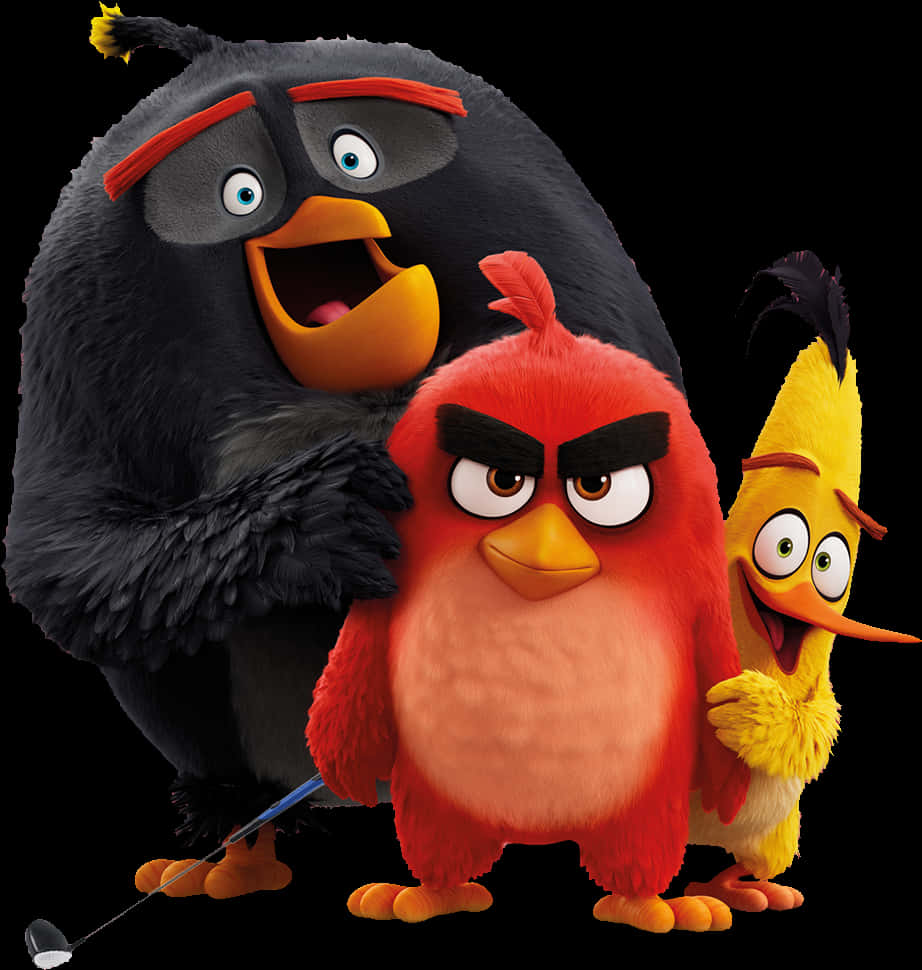 Angry Birds 桌布 壁紙 — 三個Angry Birds角色以3D渲染風格，在黑色背景前一起擺姿勢，手持高爾夫球桿。