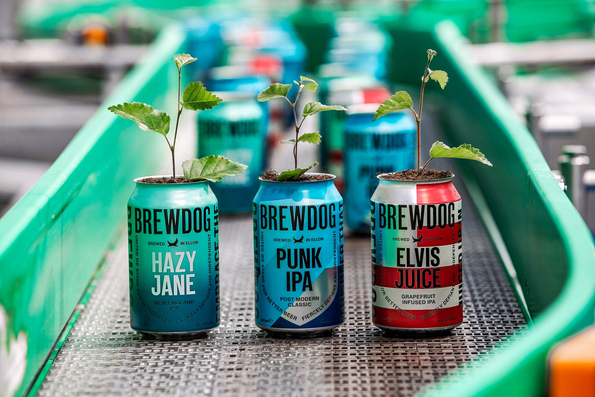 Drink 桌布 壁紙 — 三個BrewDog啤酒罐被重新用作花盆，裡面長出幼苗，放在工廠環境中的綠色傳送帶上。