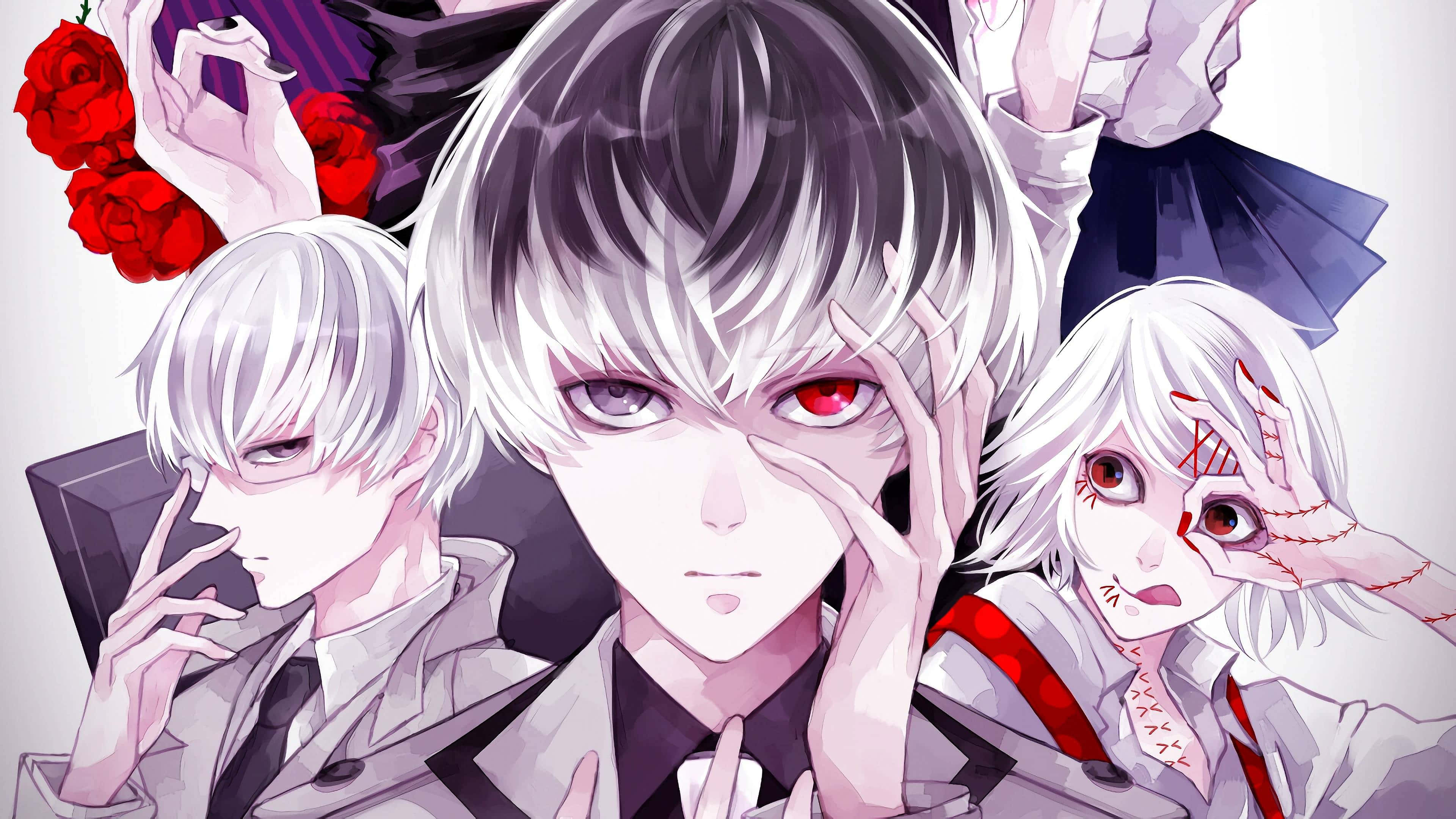 Kishou Arima 桌布 壁紙 — 三個動漫角色，擁有蒼白的頭髮和紅色的眼睛，在帶有紅玫瑰的柔和背景前戲劇性地擺姿勢。