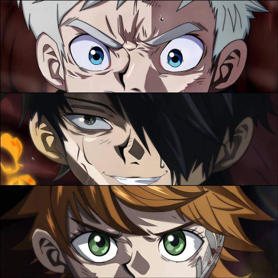The Promised Neverland 桌布 壁紙 — 三個動漫角色以強烈表情向前凝視，構成三聯畫構圖。