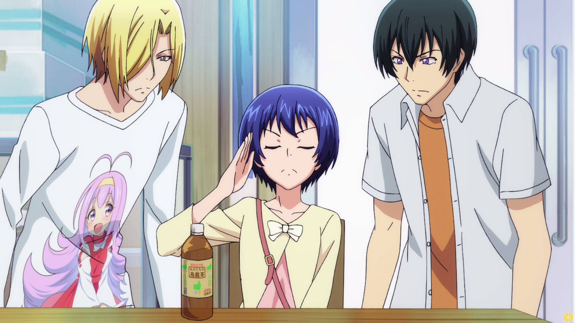 Grand Blue 桌布 壁紙 — 三個動漫角色在廚房場景中，一個女孩坐在桌旁揉太陽穴，兩個男孩站在她旁邊。