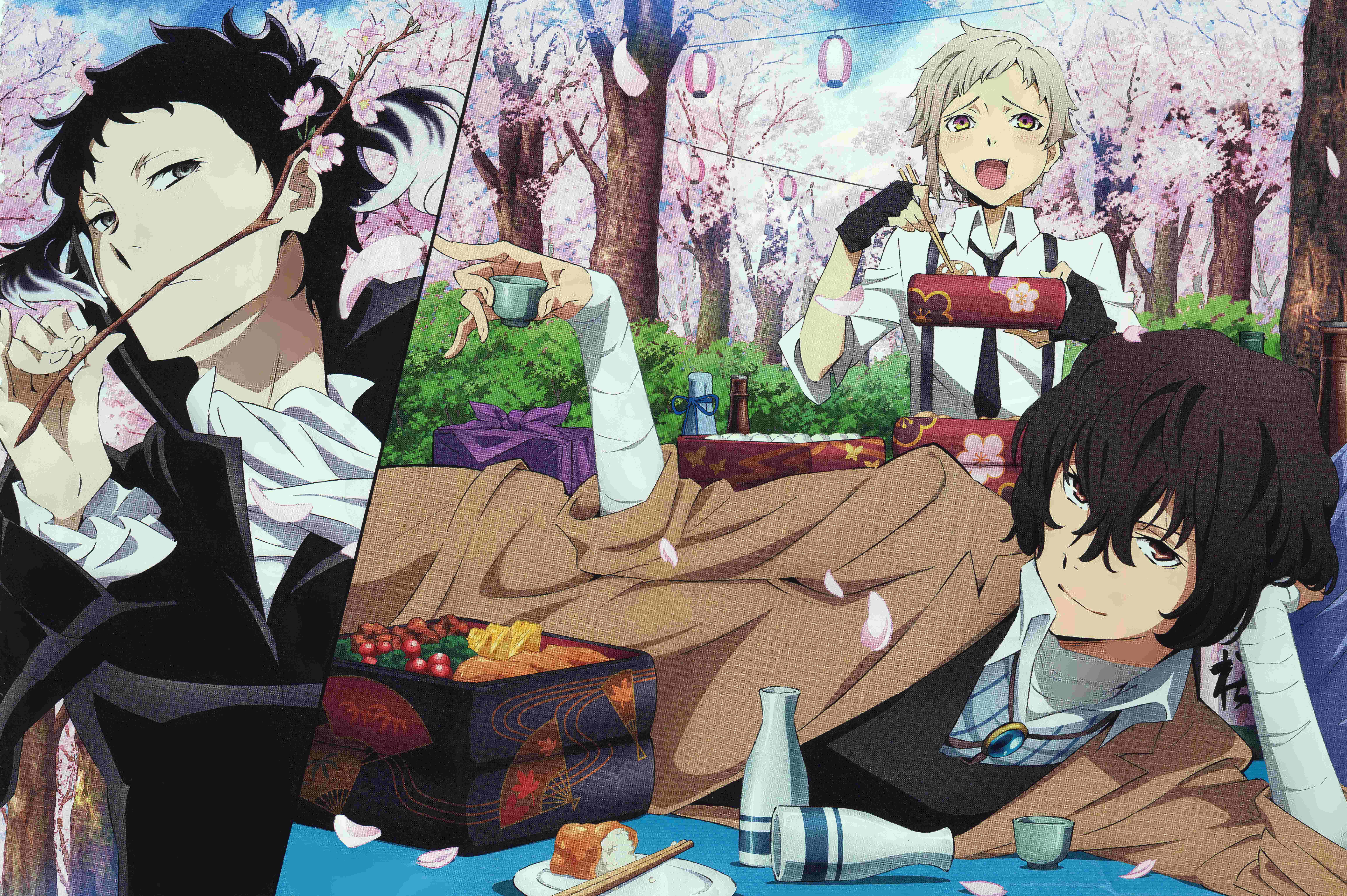 bungou stray dogs 桌布 壁紙 — 三個動漫角色在粉紅花樹下享受櫻花野餐，有清酒和便當盒。