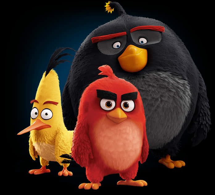 Angry Birds 桌布 壁紙 — 三個動畫憤怒鳥角色在深色背景前以強烈表情站在一起。