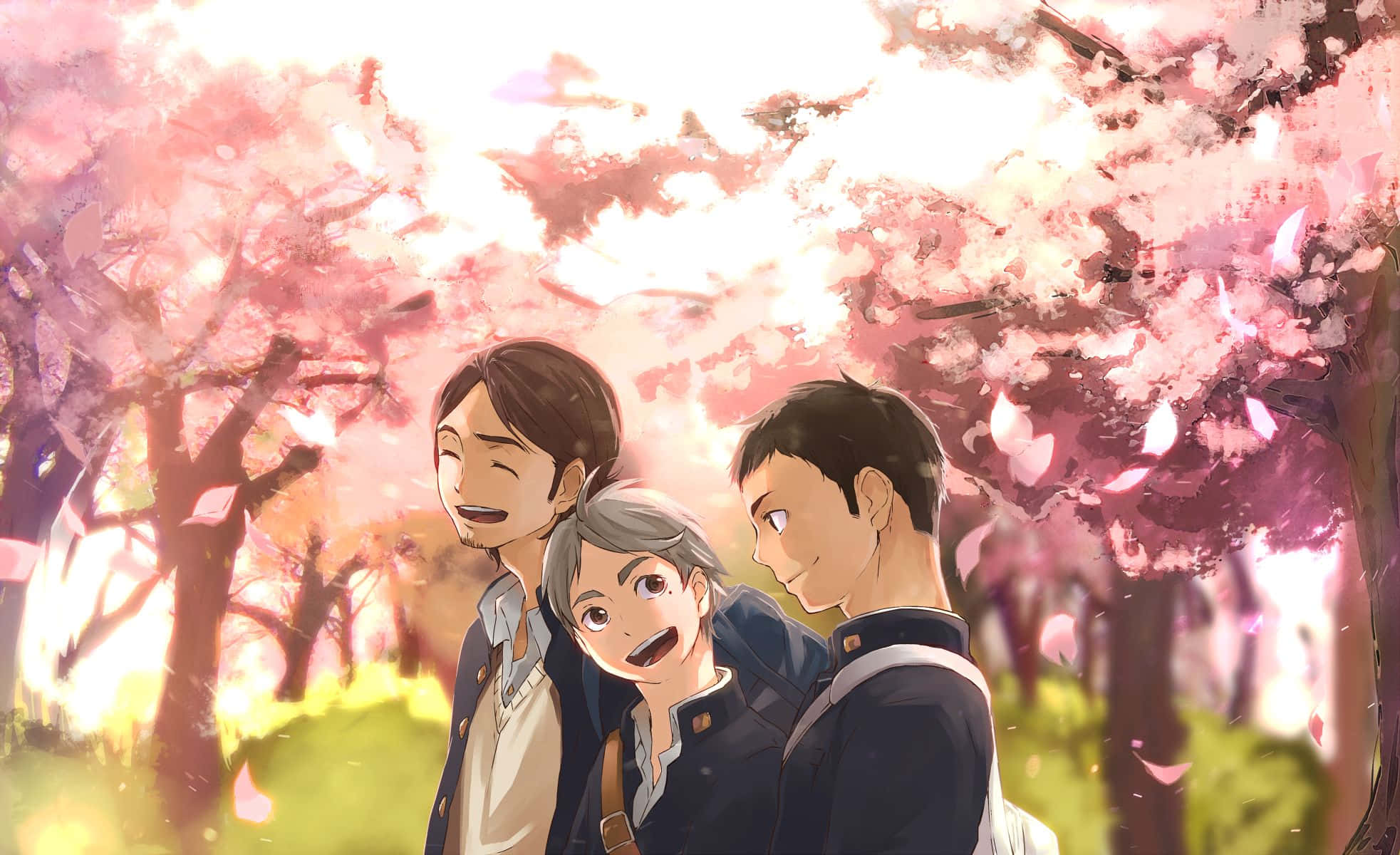 Daichi Sawamura 桌布 壁紙 — 三個動畫男孩在陽光普照的公園裡，在飄落的粉紅色櫻花樹冠下大笑。