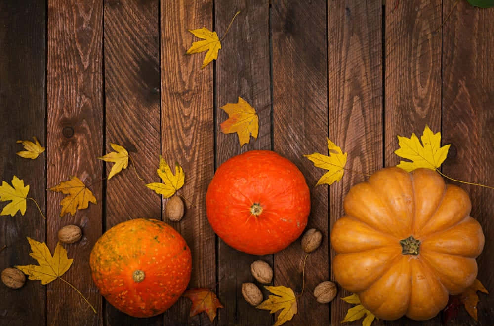 Fall Thanksgiving 桌布 壁紙 — 三個南瓜和散落的黃葉在深色木質表面上，構成秋日靜物畫。