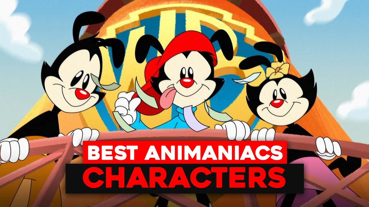 Animaniacs 桌布 壁紙 — 三個卡通角色，黑色毛髮、紅色鼻子和大眼睛，在明亮的天空下從雲霄飛車上頑皮地咧嘴笑。