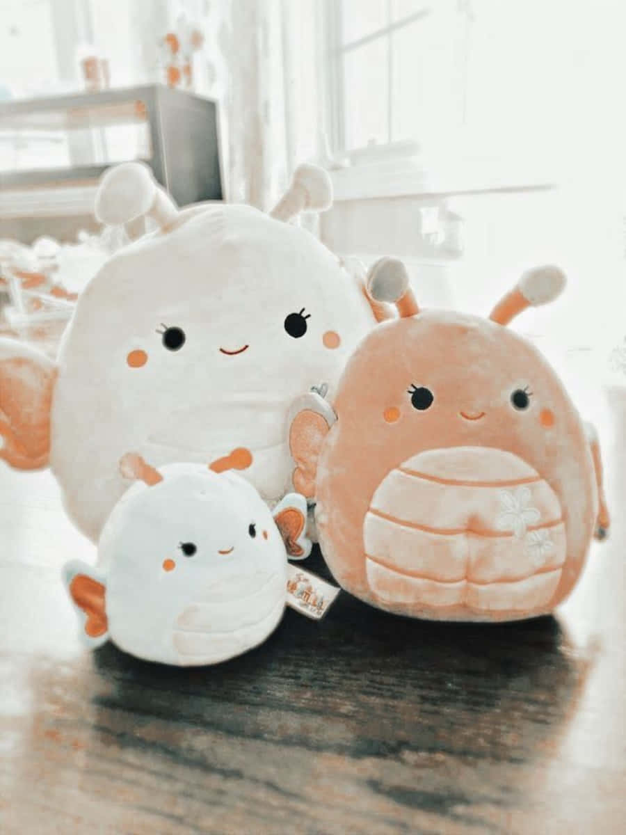 三個毛絨Squishmallows坐在靠近窗戶的木桌上。 — Squishmallows 壁紙