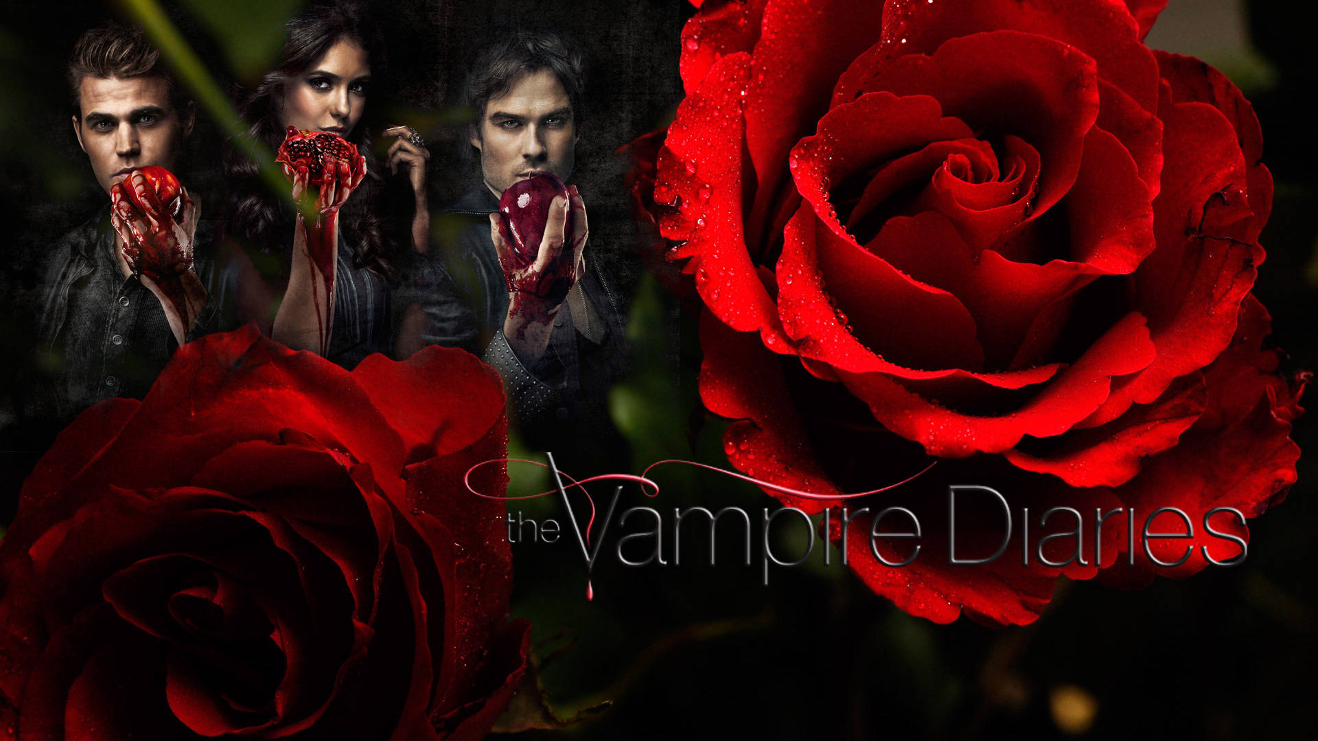 The Vampire Diaries 桌布 壁紙 — 三個吸血鬼角色在黑暗哥德式場景中，手持血淋淋的蘋果，旁邊是鮮豔的紅玫瑰。