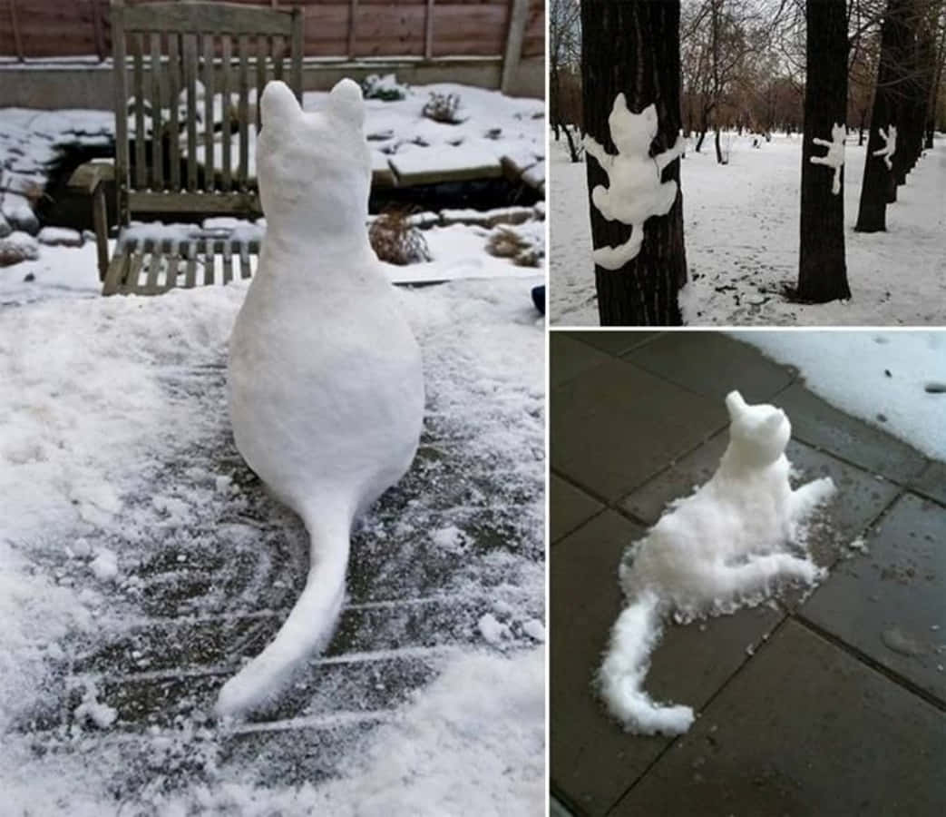 可愛貓咪 桌布 壁紙 — 三個奇特的雪雕，形狀像貓，在雪白的後院和森林場景中。