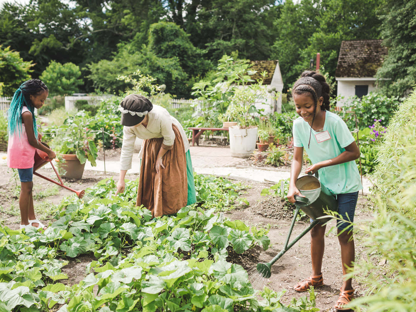 Gardening 桌布 壁紙 — 三個女孩在陽光明媚的後院花園裡，快樂地為茂盛的綠色植物澆水，周圍有樹木和一個小棚子。
