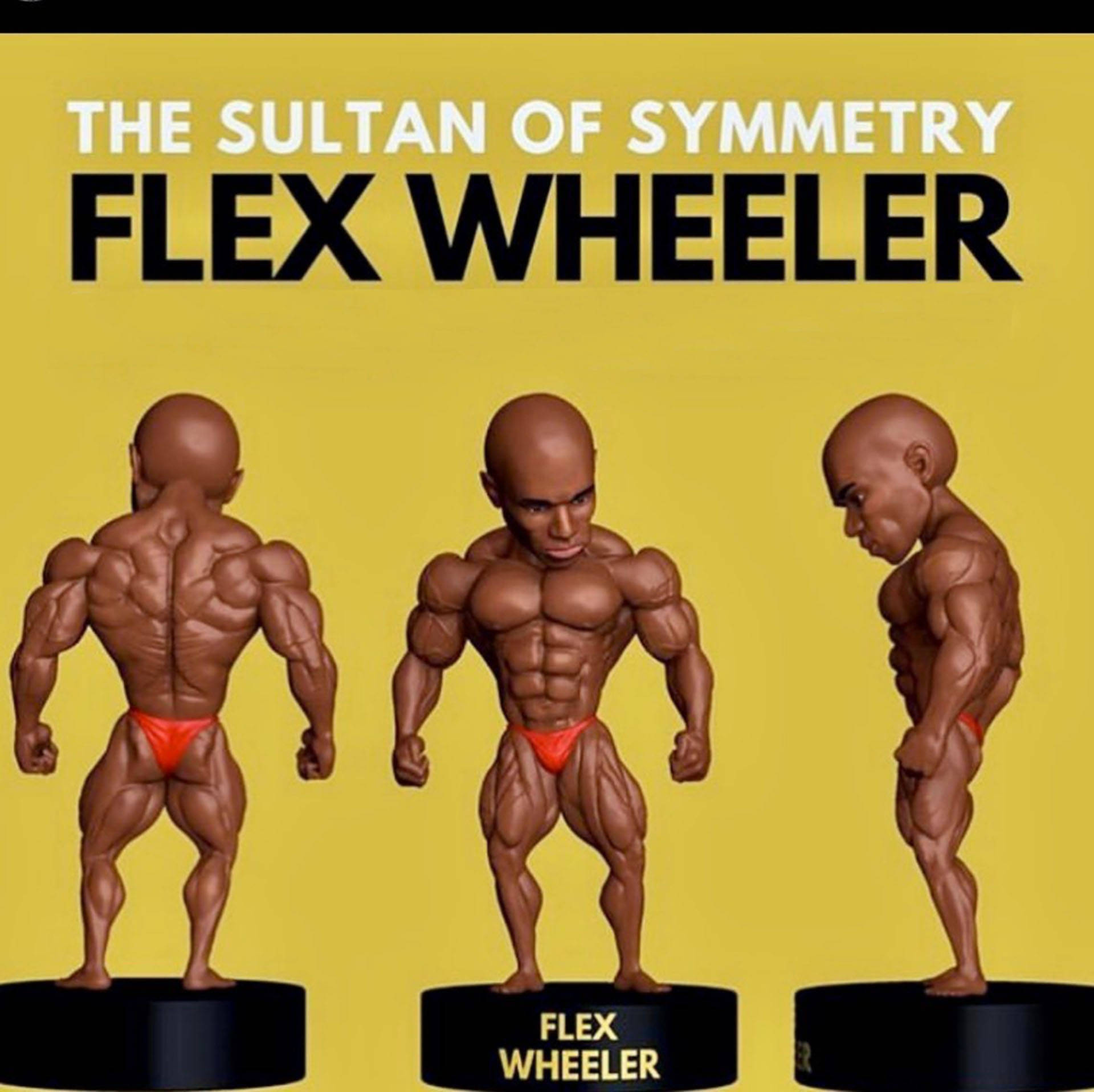 flex wheeler 桌布 壁紙 — 三個對稱的 Flex Wheeler 動作人偶，從背面、正面和側面展示，背景為黃色。