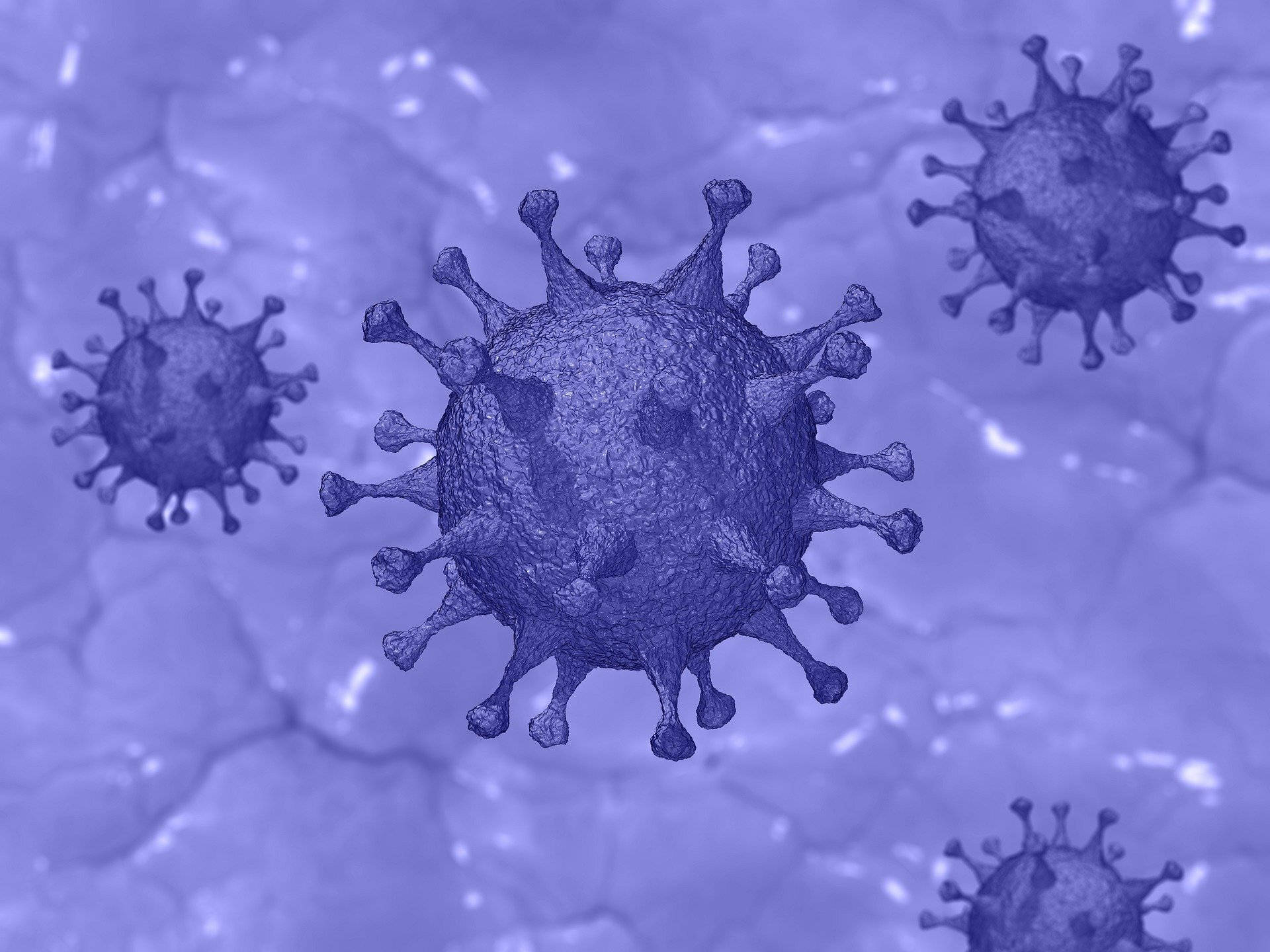 Coronavirus 桌布 壁紙 — 三個帶有尖刺突起的病毒粒子漂浮在紋理藍色背景上。