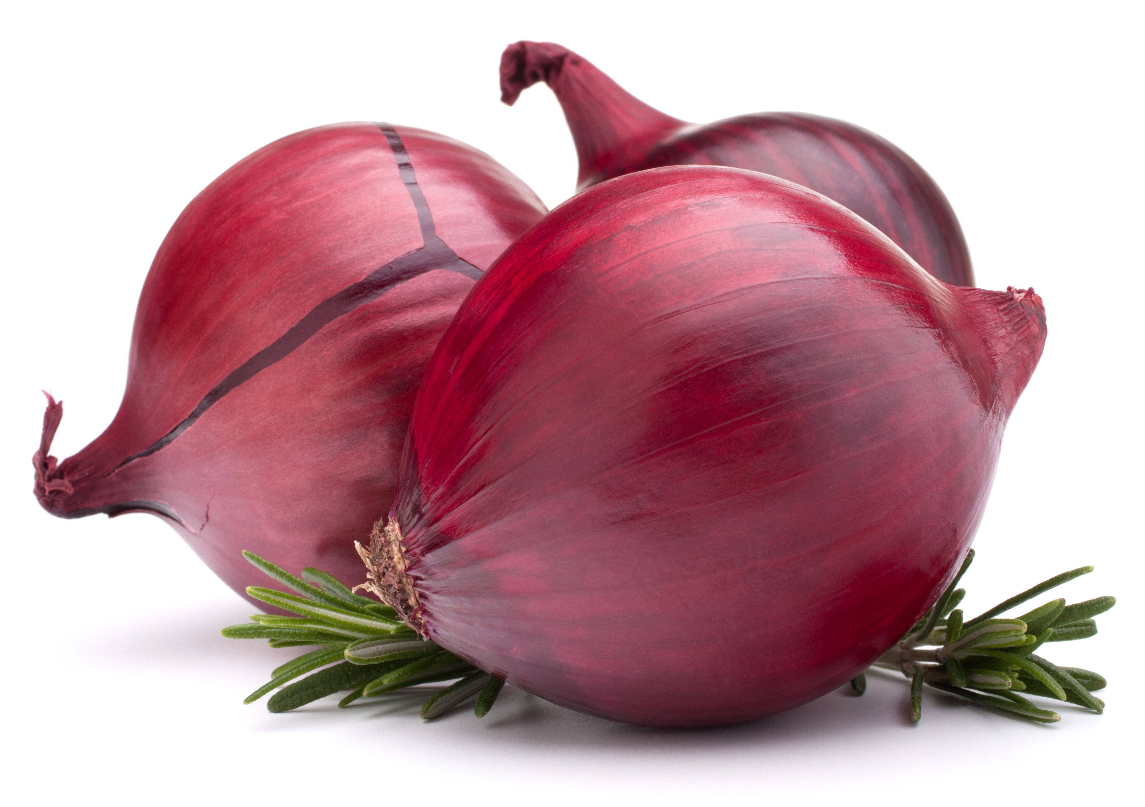Onion 桌布 壁紙 — 三個帶有深紫色外皮的亮澤紅洋蔥，放在純白背景上，旁邊是新鮮的綠色迷迭香。