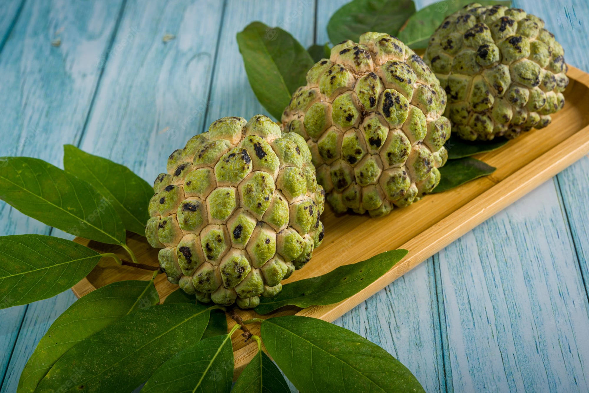 Fruit 桌布 壁紙 — 三個帶有深色斑點的綠色刺狀釋迦果實，放在一個木托盤上，托盤置於藍色風化木上，周圍環繞著茂盛的綠葉。