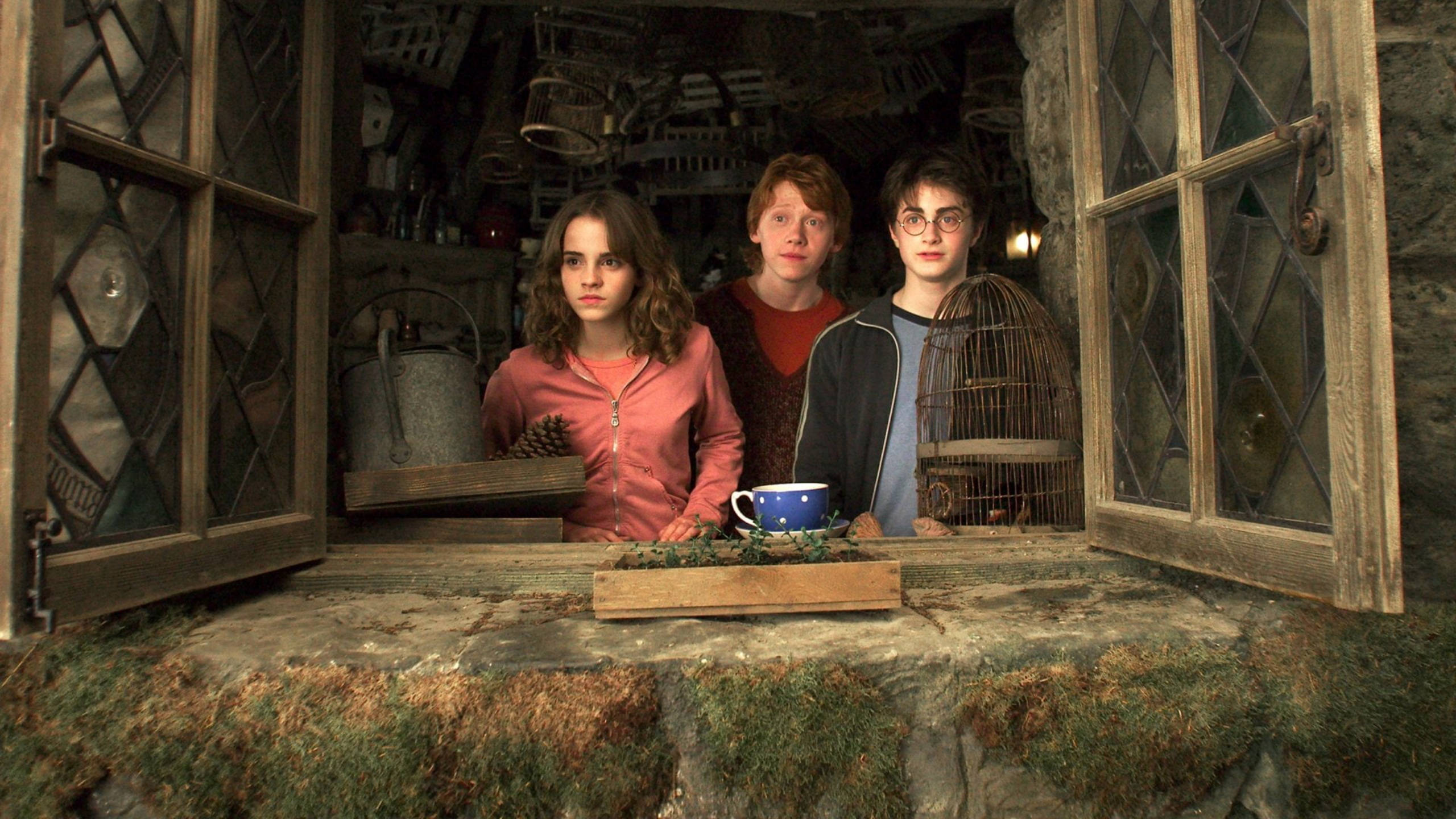 Ron Weasley 桌布 壁紙 — 三個年輕巫師從一個長滿青苔的石窗向外望，窗外是一個雜亂的鄉村小屋，有一個藍色杯子和鳥籠。