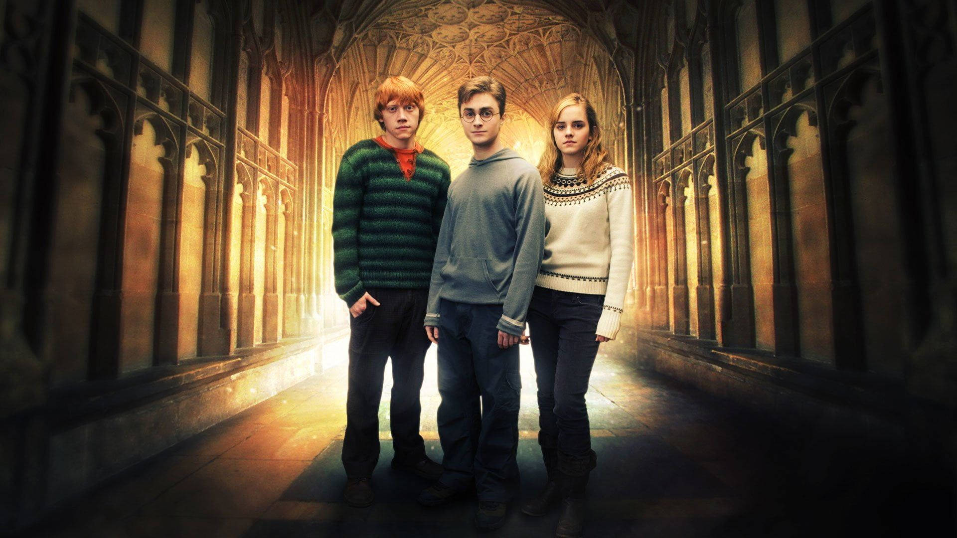 Ron Weasley 桌布 壁紙 — 三個年輕巫師站在一個宏偉的哥德式走廊中，沐浴在背後溫暖的金色光芒中。