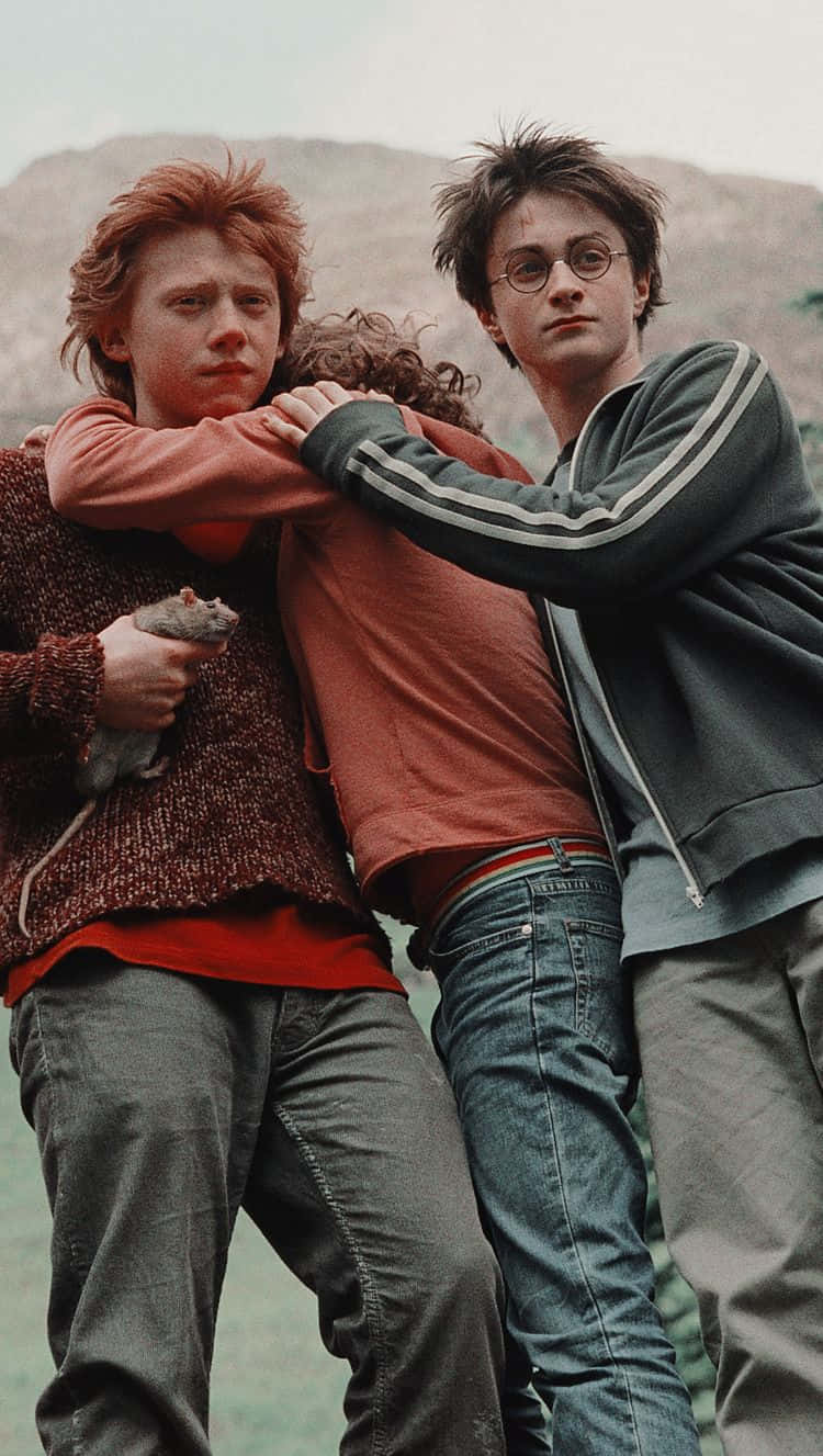 Ron Weasley 桌布 壁紙 — 三個年輕男子在崎嶇的戶外環境中緊密站立，一人手持小型囓齒動物，另一人戴眼鏡和拉鍊外套。
