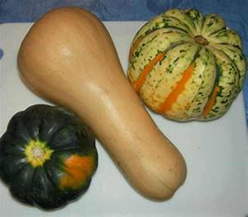 Healthy Food 桌布 壁紙 — 三個形狀和顏色各異的南瓜放在白色表面上，背景為藍色圖案。