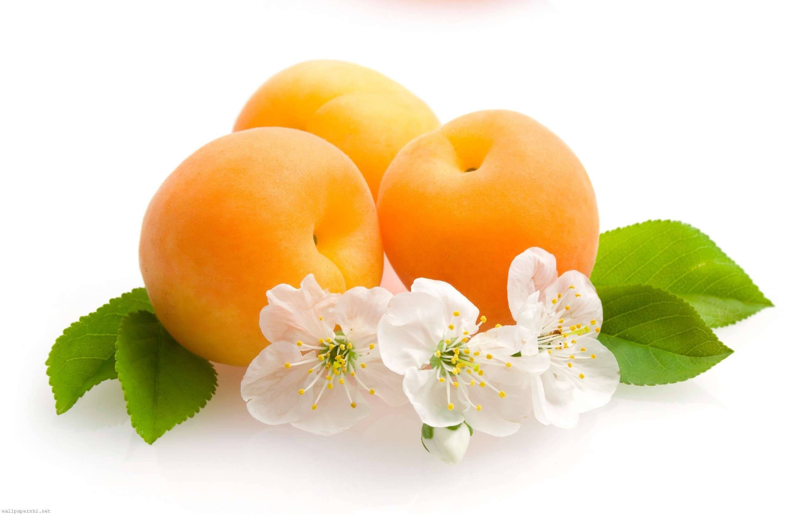 Fruits 桌布 壁紙 — 三個成熟的杏子，搭配綠葉和精緻的白花，放置在純白色的背景上。